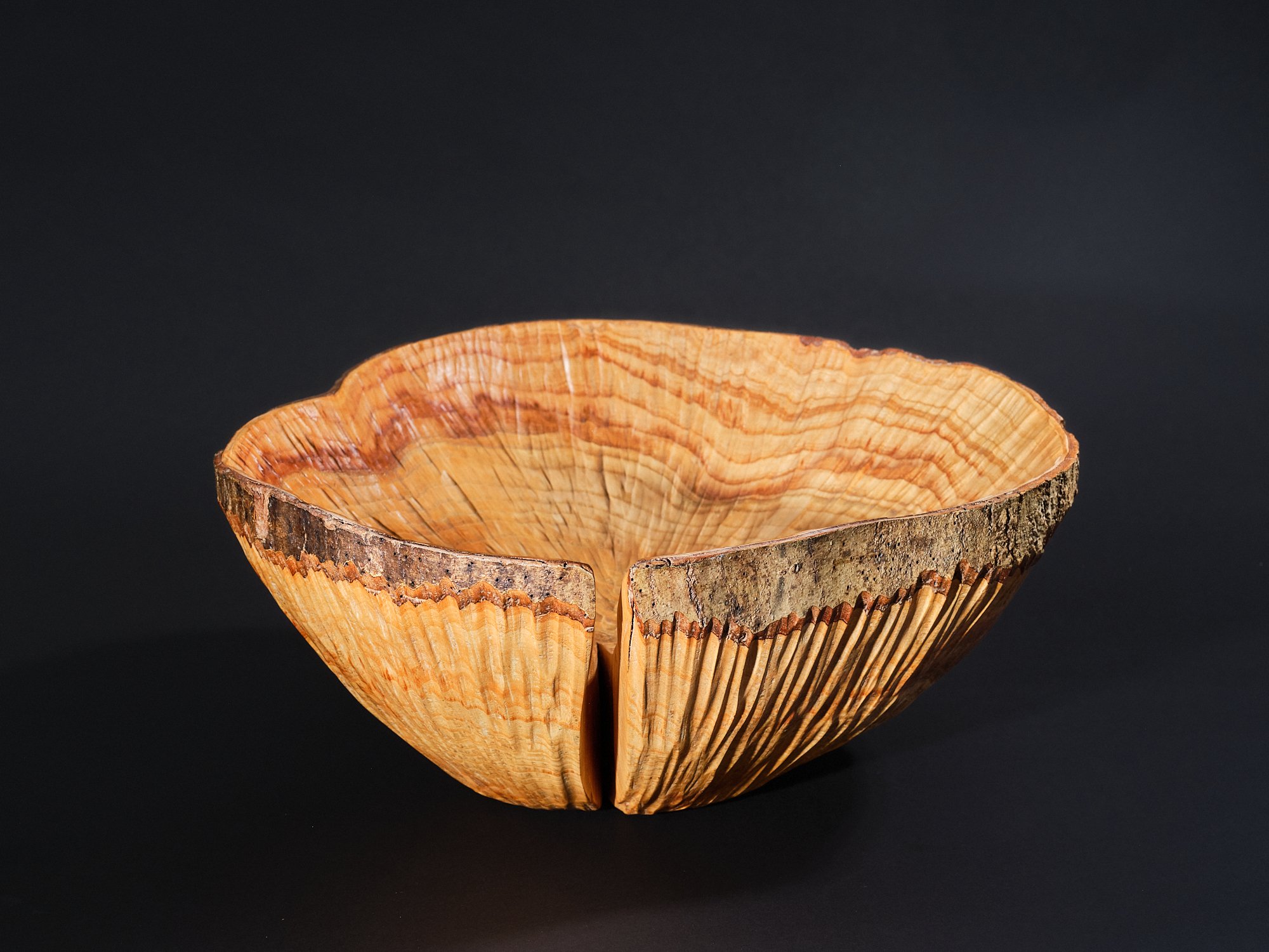 A sculptural wooden bowl showing strong radial grain with large split, made from ash with a ring of bark at the top and smooth textured interior, placed on white surface against black background