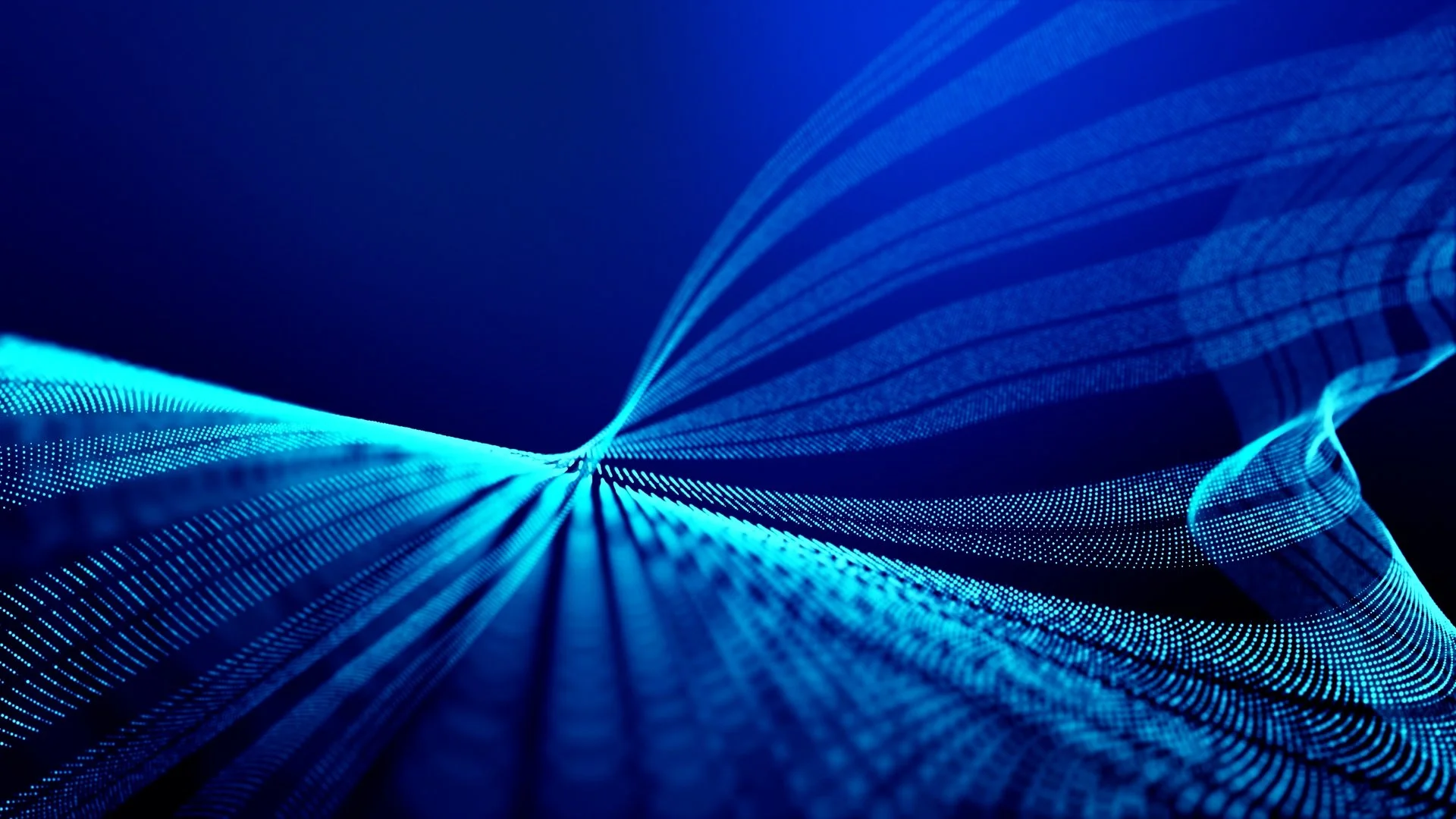 TM video 02_poster.jpg