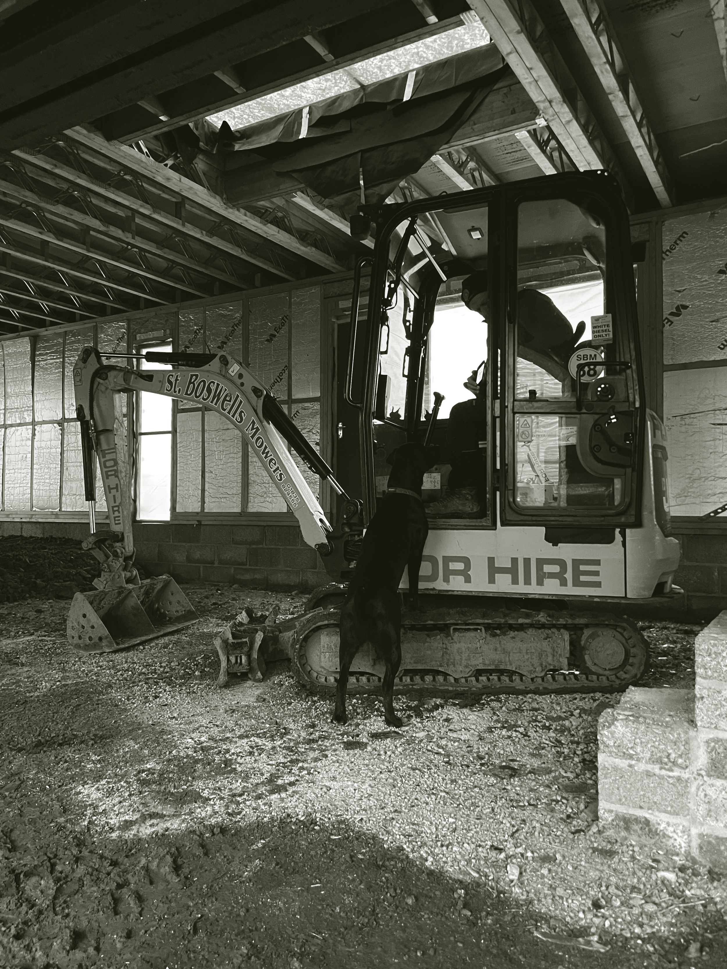 A worker operating a mini excavator inside a building under construction, with a black dog standing on the excavator's tracks.