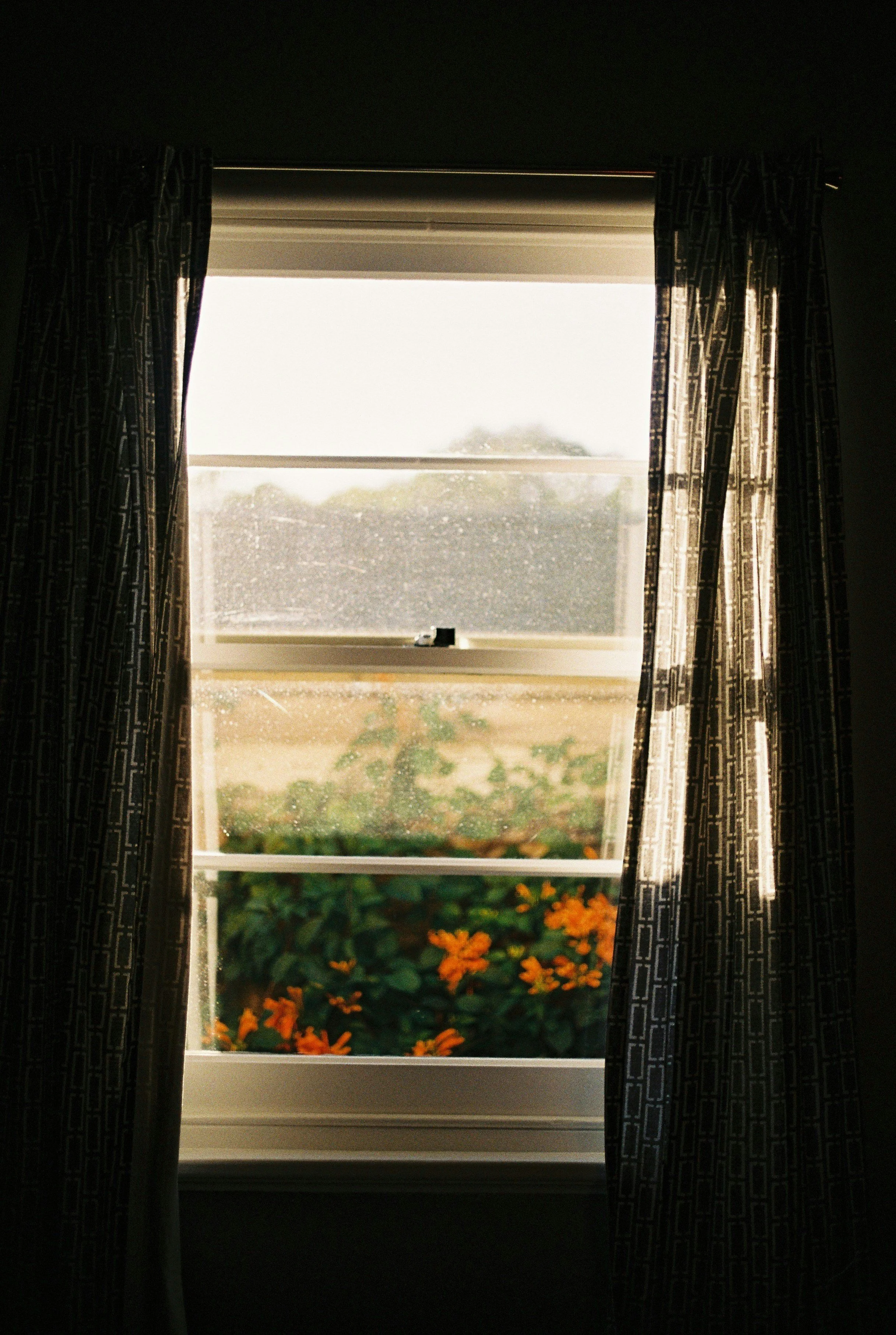 View through a window with raindrops, framed by patterned curtains, revealing a garden with orange flowers under a rainy sky.
