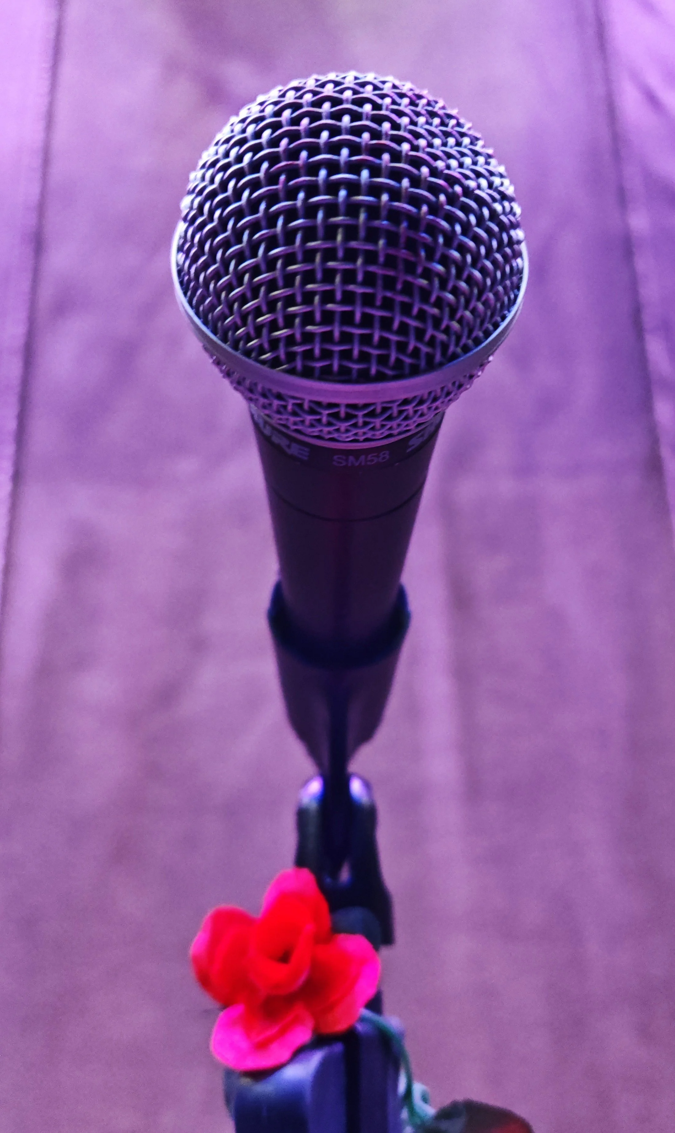 mic.jpg