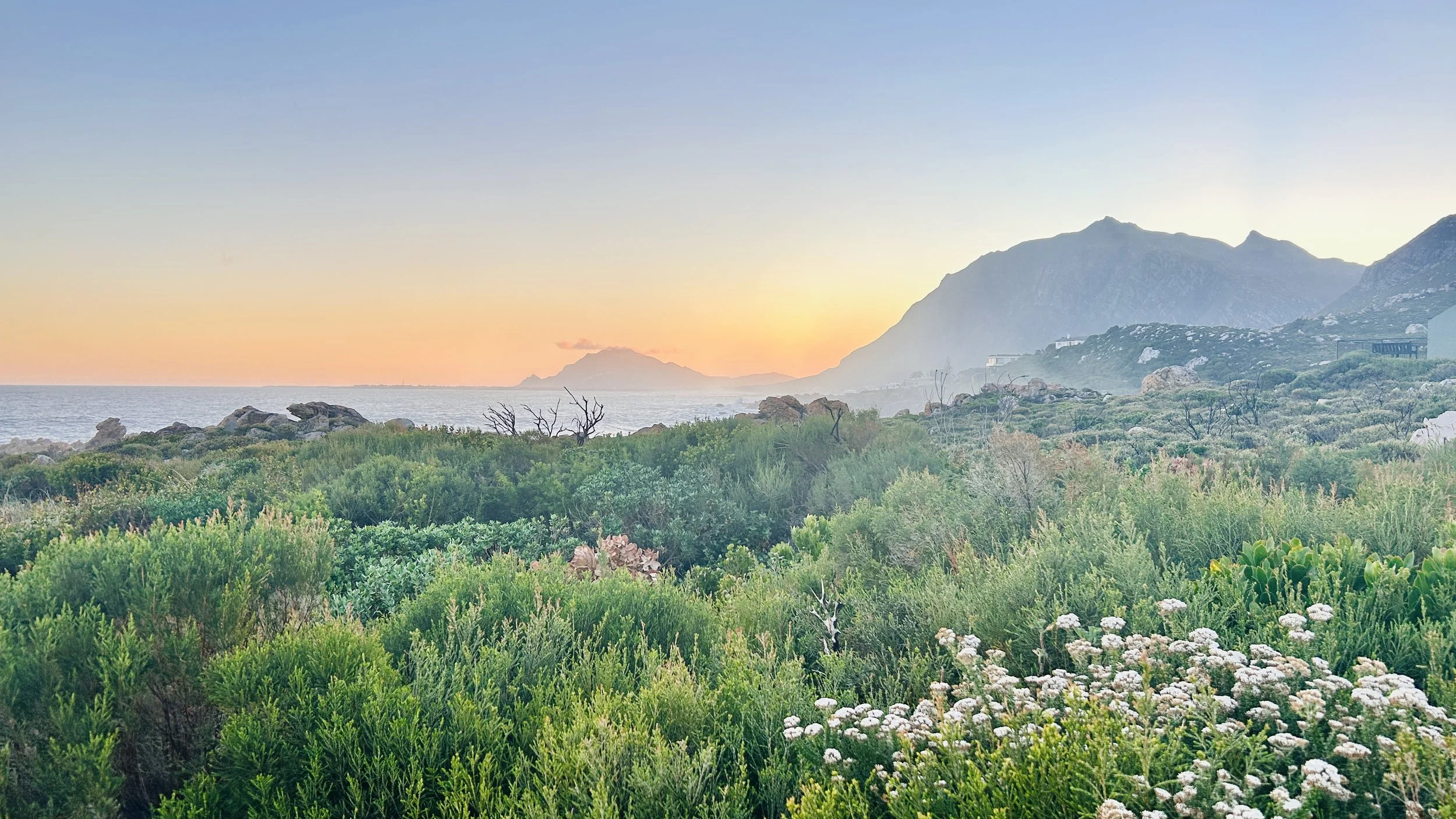Visiting Betty’s Bay