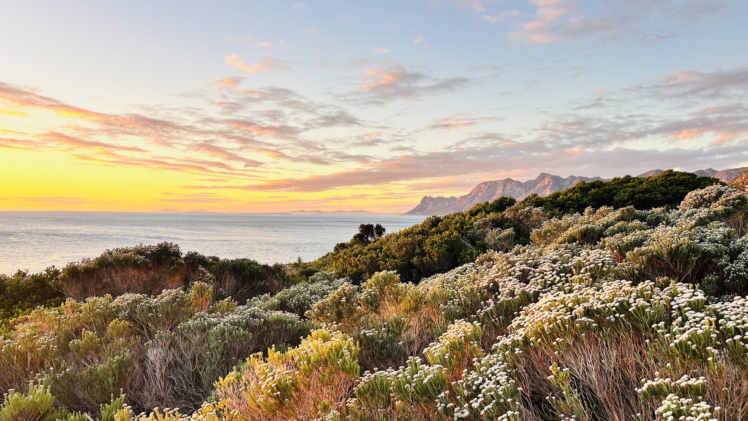 Clarence Drive: The Ultimate Coastal Road Trip from Cape Town to Betty’s Bay