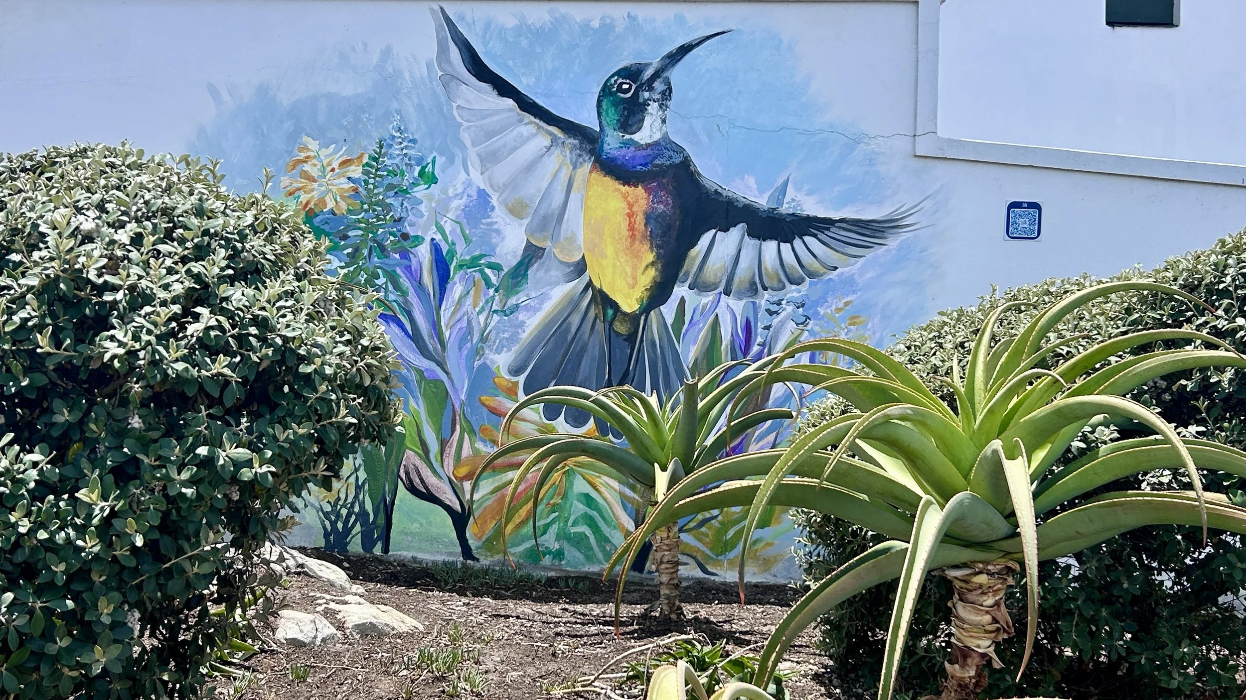 Murale de colibrí en vuelo en una pared blanca, rodeado de plantas y arbustos, con una pequeña palmera en primer plano.