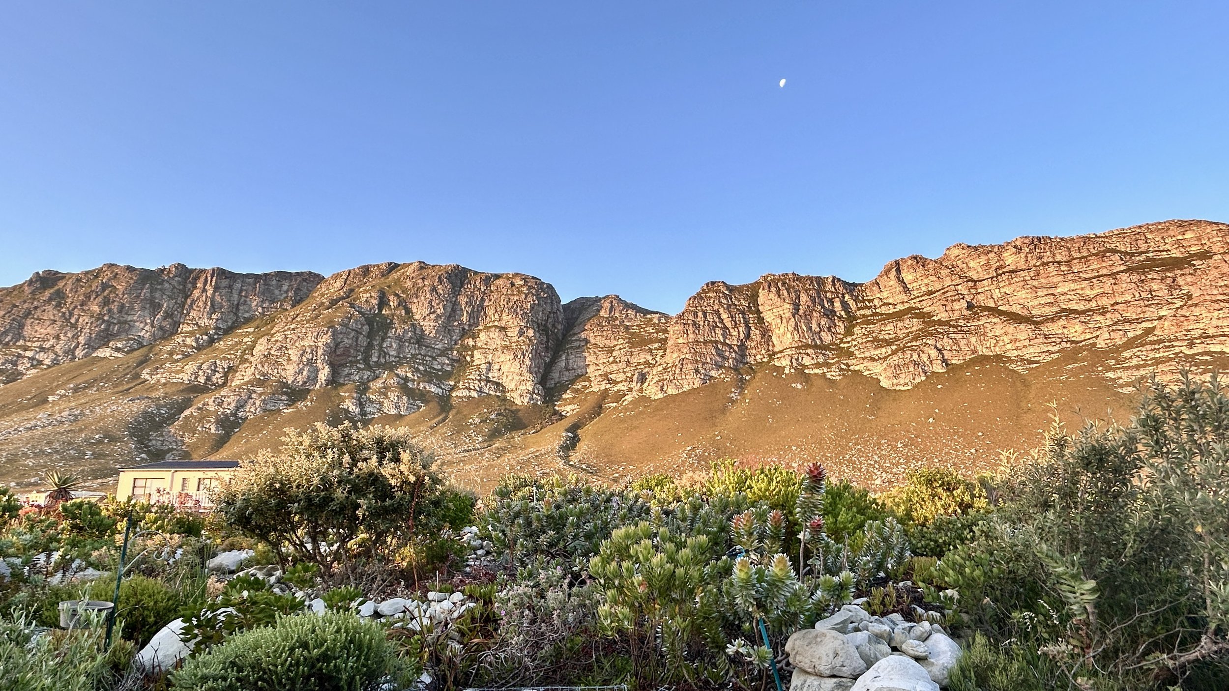A mountain range with rugged rocks illuminated by sunlight, under a clear blue sky with a small moon visible. In the foreground, various green desert plants and shrubs are visible.