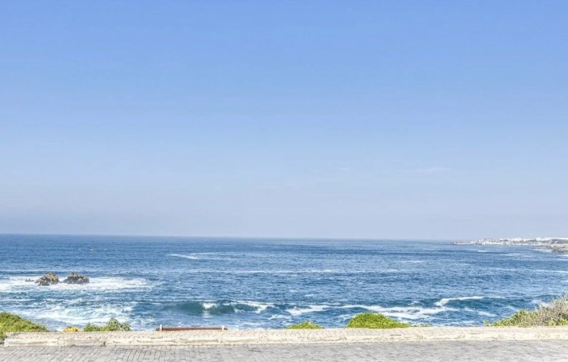 View of ocean waves crashing onto the rocky shoreline with a paved walkway and green bushes in the foreground, and a city or town visible in the distance on the right under a clear blue sky.