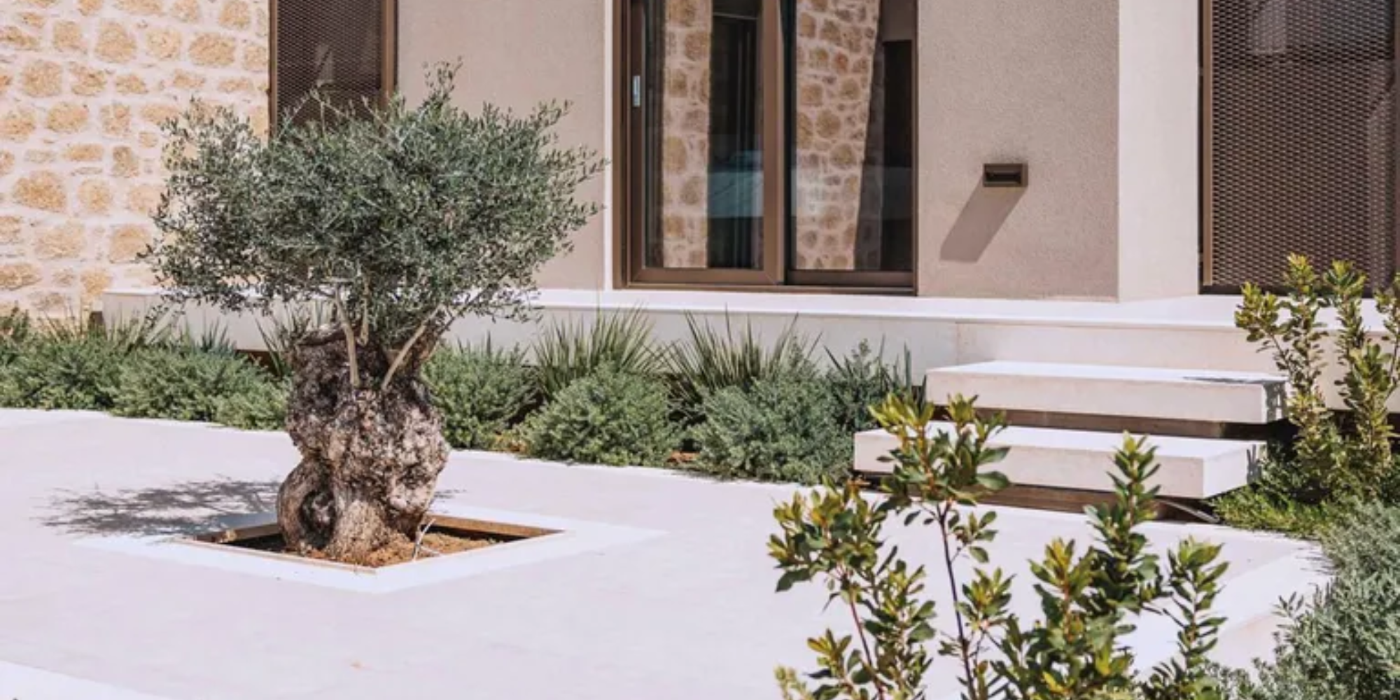 Drought-Tolerant Plants, Low-Lying Ground Cover, and Short Trees