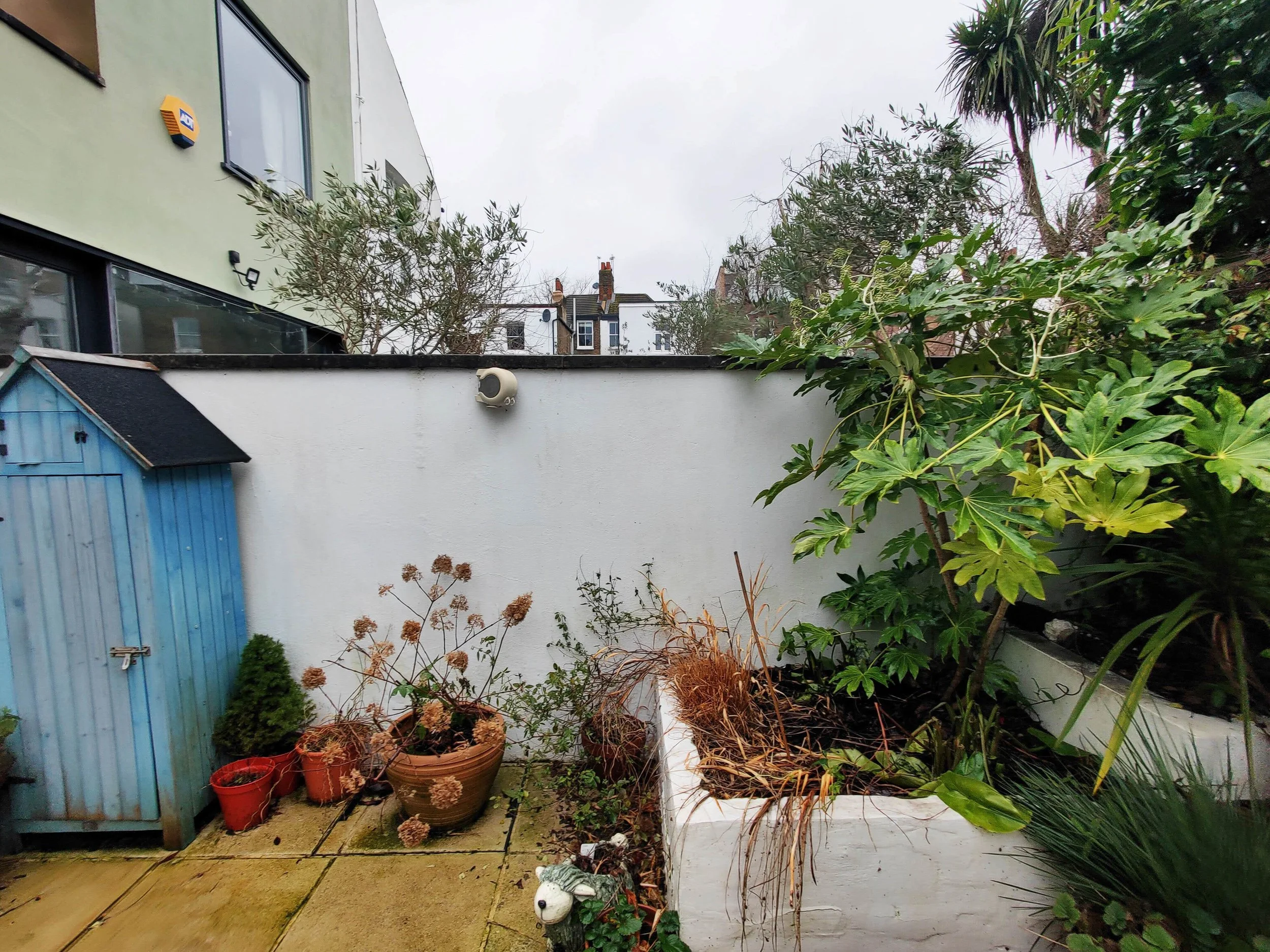 Old Balham Garden Design South London 3.jpg