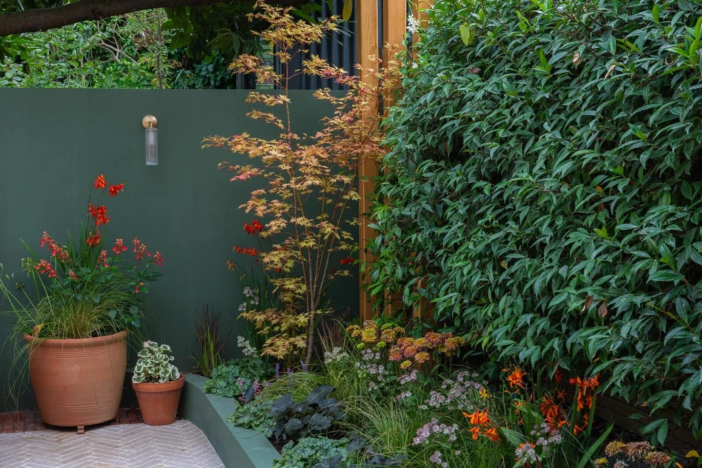 Balham Garden Design South London 14.jpg