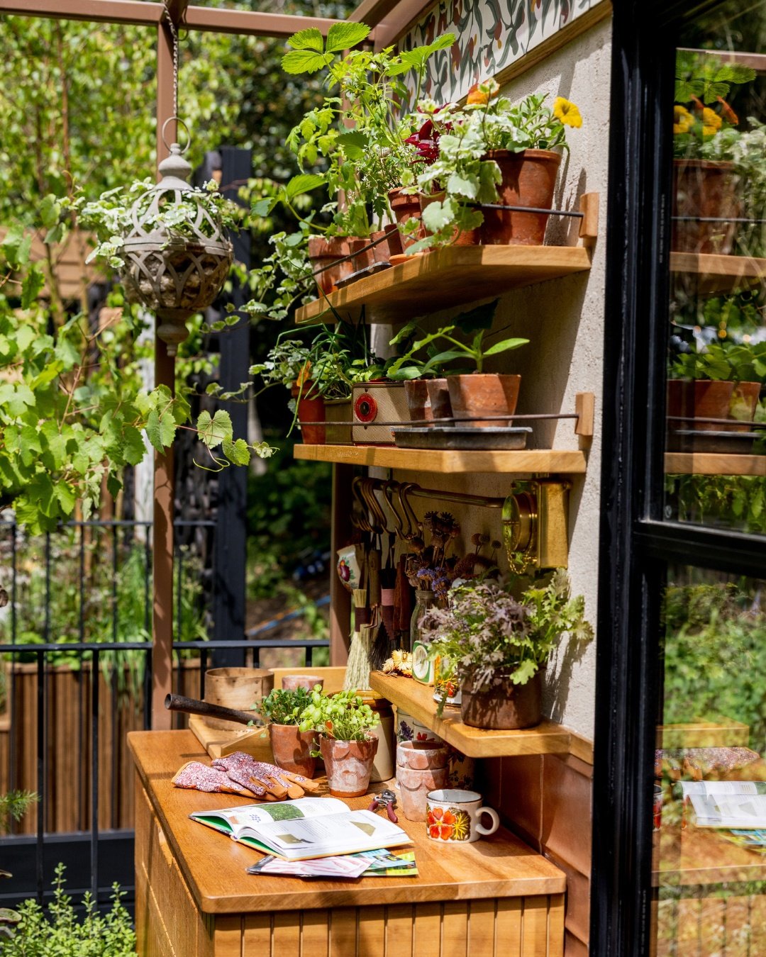 From build to bloom 🌿

A Little Garden of Shared Knowledge - RHS Chelsea Flower Show 2026, sponsored by @vikingcruises

A behind the scenes look at the build, and a first glimpse of the finished garden. We've been sitting on these images and honestl