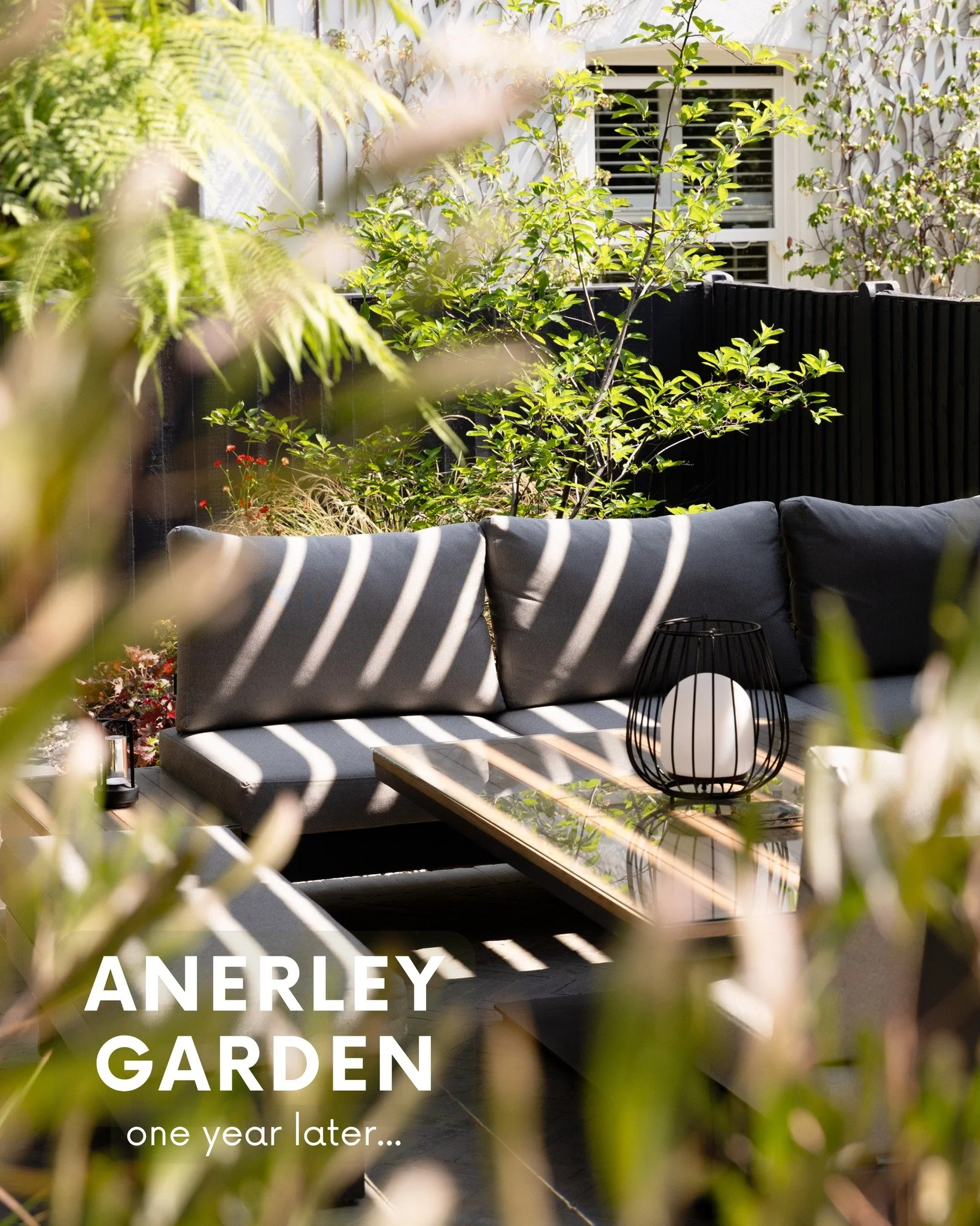 We recently popped back to see how this garden was settling now that the planting has had a full year to grow, mature and find its place.

When we first designed the space, the brief was all about connection: a levelled patio flowing directly from th