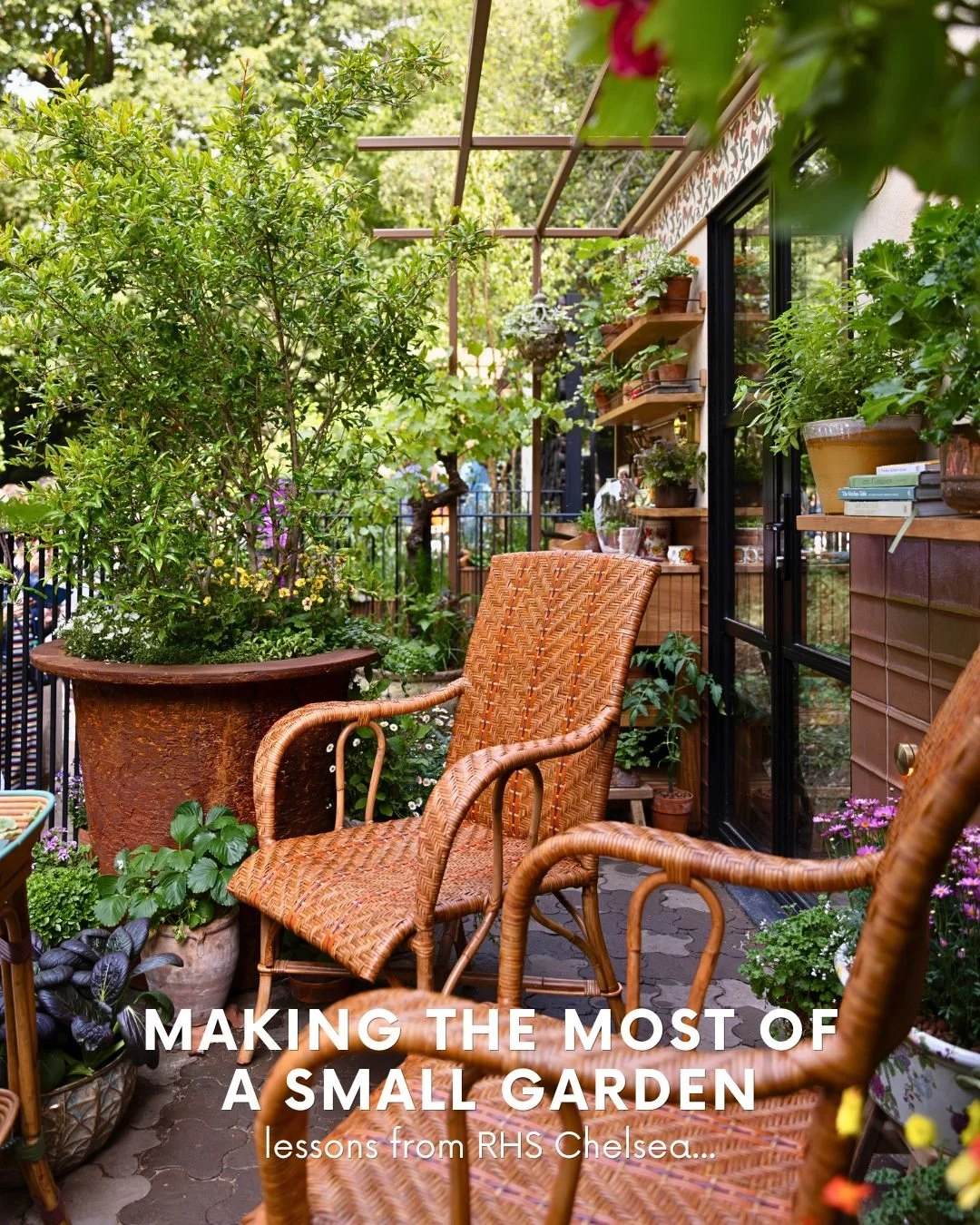 The RHS Chelsea garden was designed for a balcony measuring just 5m &times; 2m, where every millimetre counts.

Every plant, material and feature has to earn its place, working harder to create a garden that feels generous, layered and full of life. 