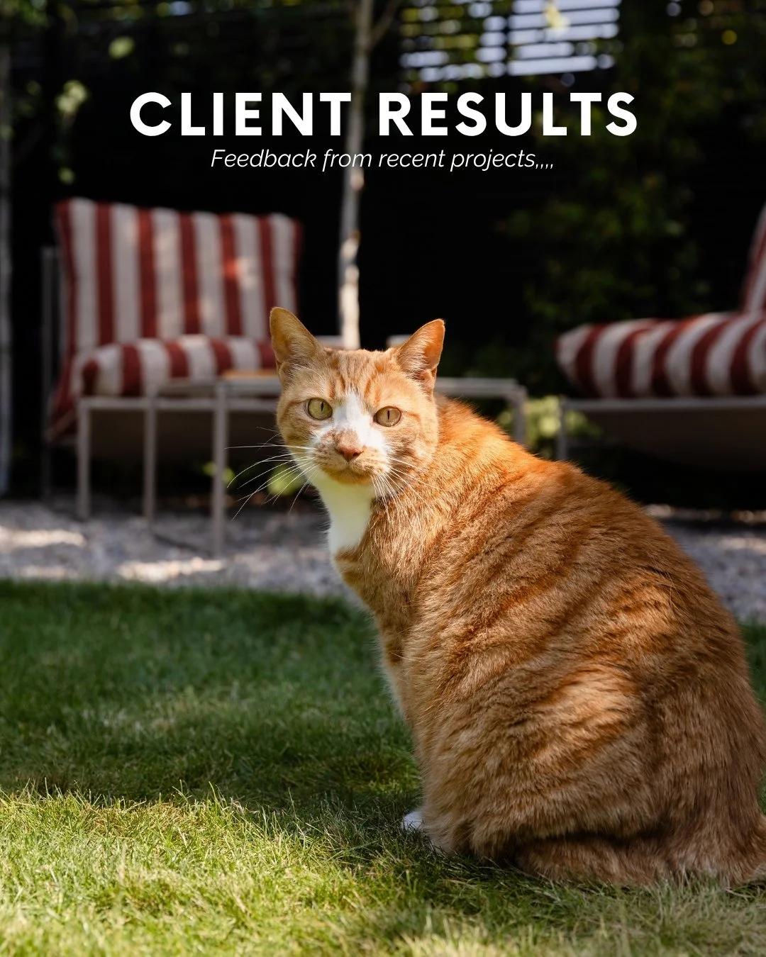 We love hearing from our clients once a project has come to life. 

Every project starts with a brief, but it&rsquo;s the feedback afterwards that reminds us just how much a garden transformation can change everyday life.

Swipe through for a few of 
