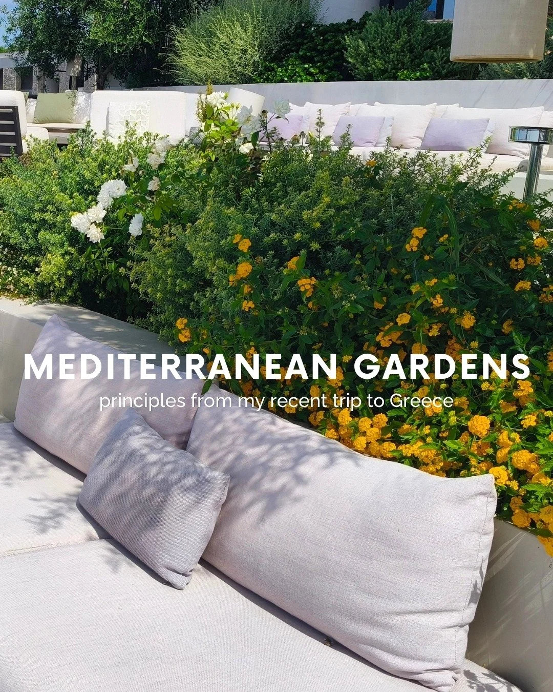 Mediterranean Gardens &mdash; inspiration from my recent trip to Greece 
It was so lovely to be back in Greece, capturing some of the details, materials and planting that continually inspire my design work.

As our climate shifts, Mediterranean garde