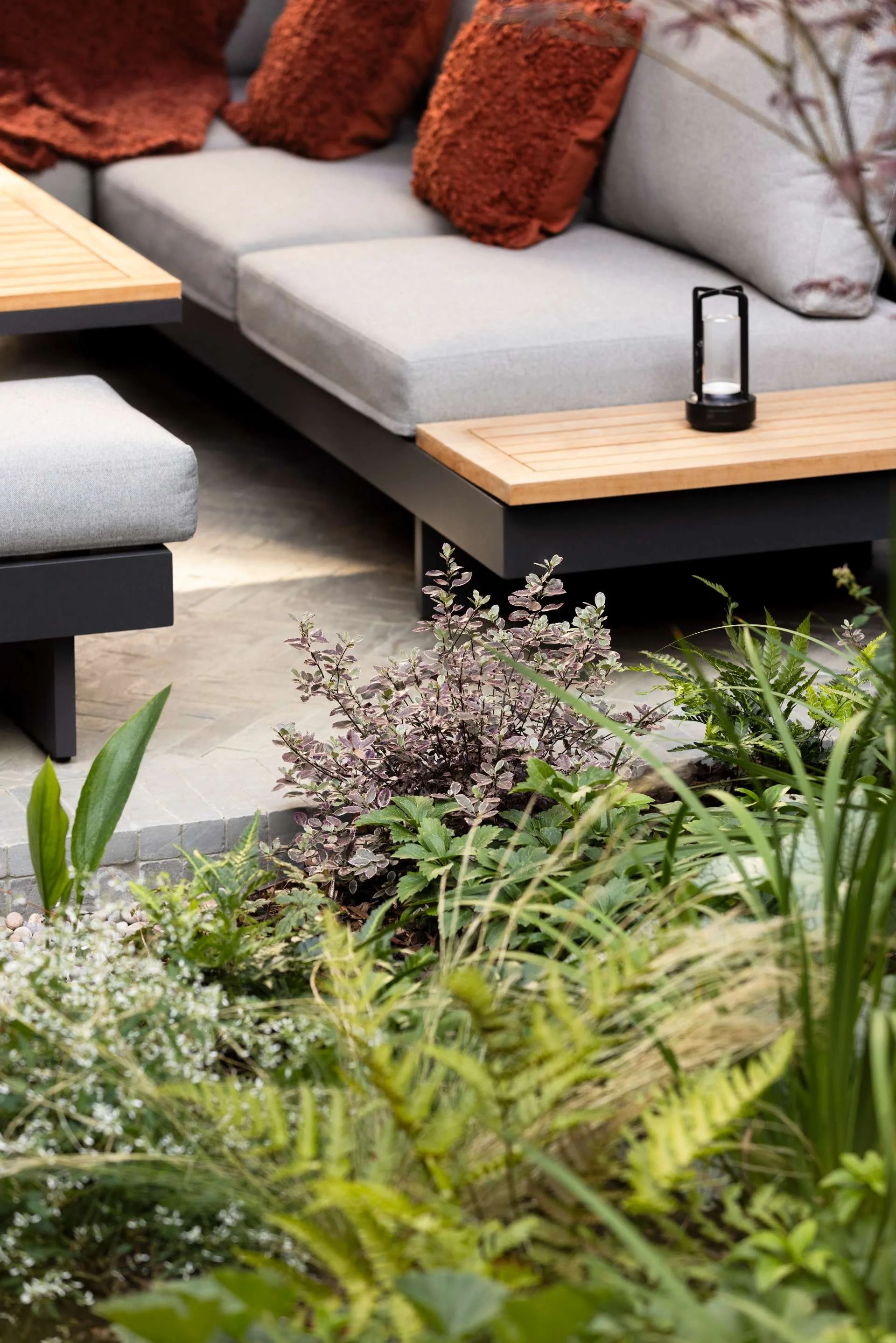 London Garden Designer in Anerley Katerina Kantalis 20.jpg