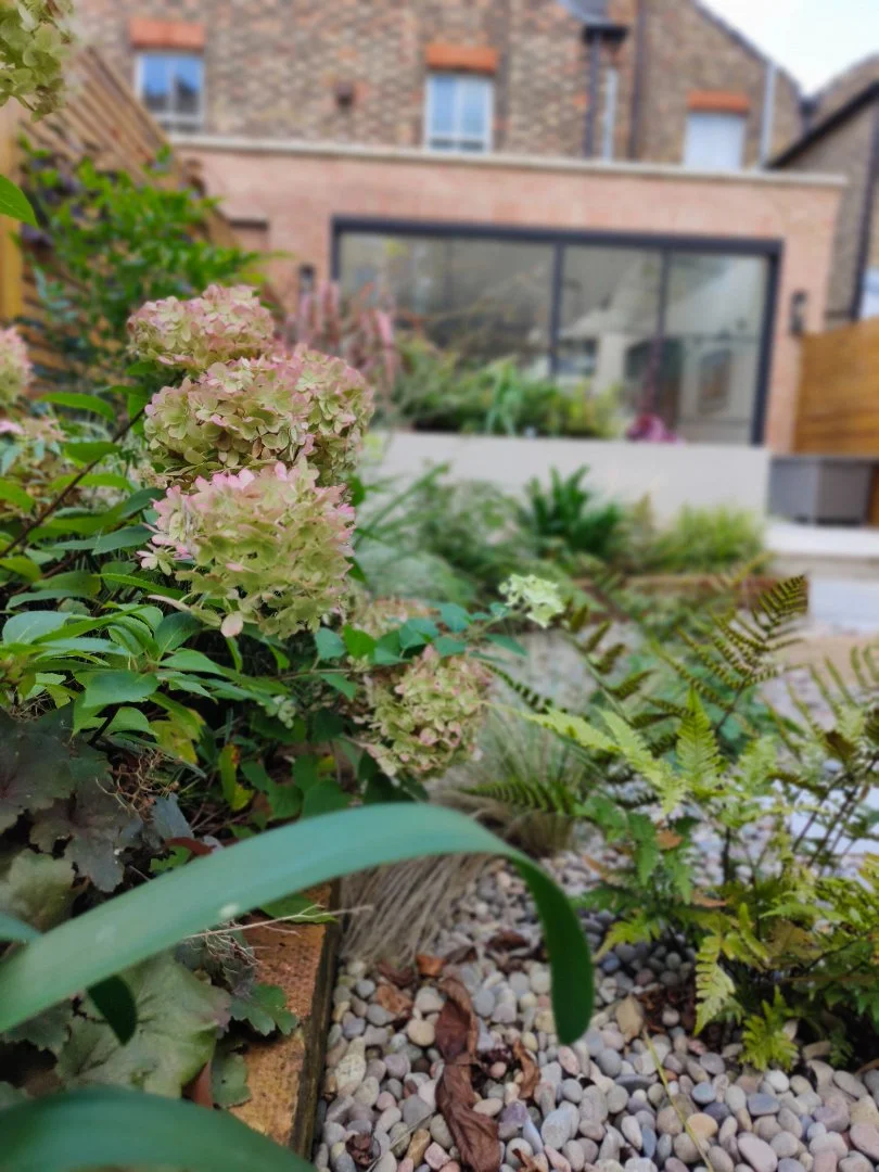 Crystal Palace Garden Design South London - Katerina Kantalis 29.jpg