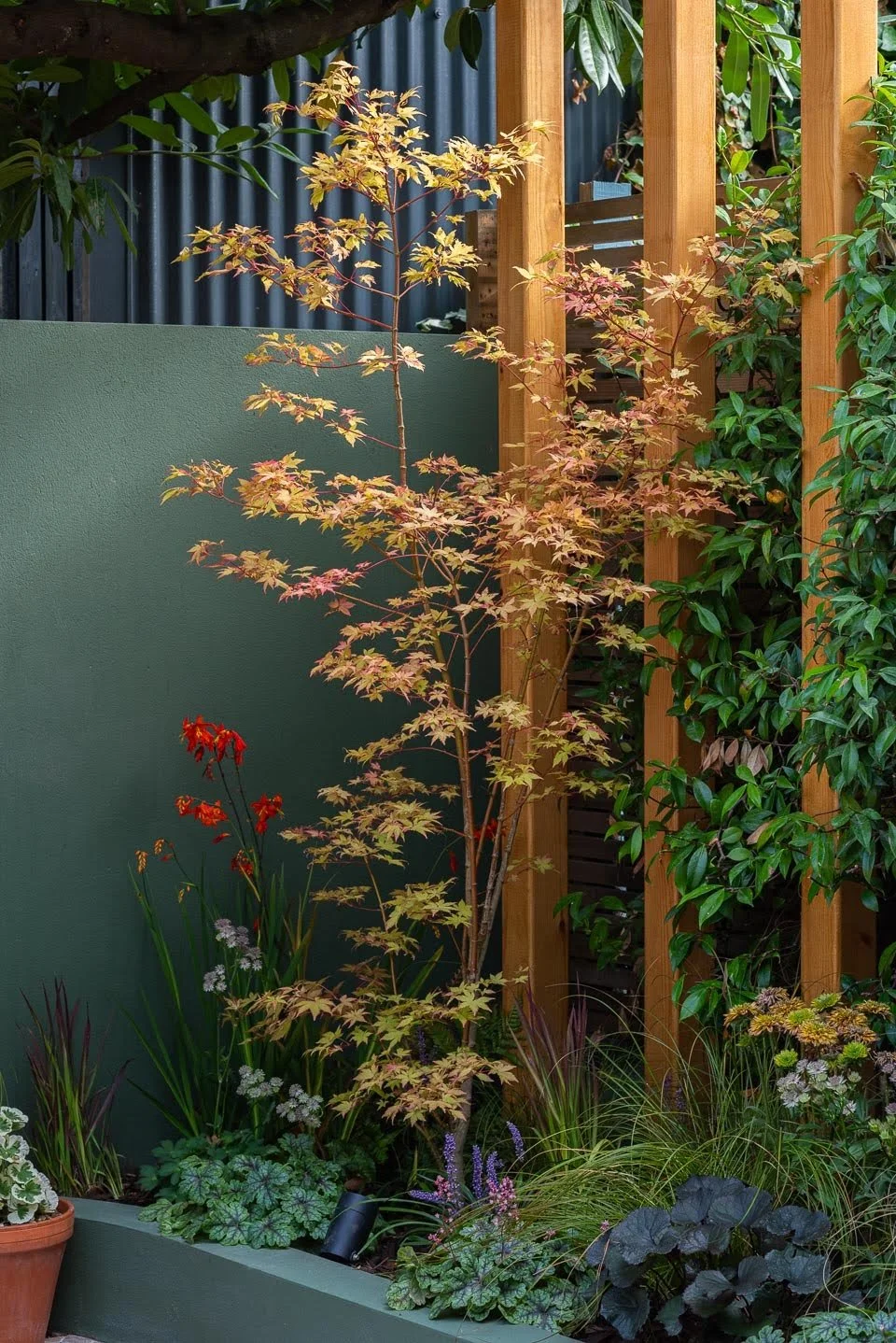 Balham Garden Design South London 16.jpg