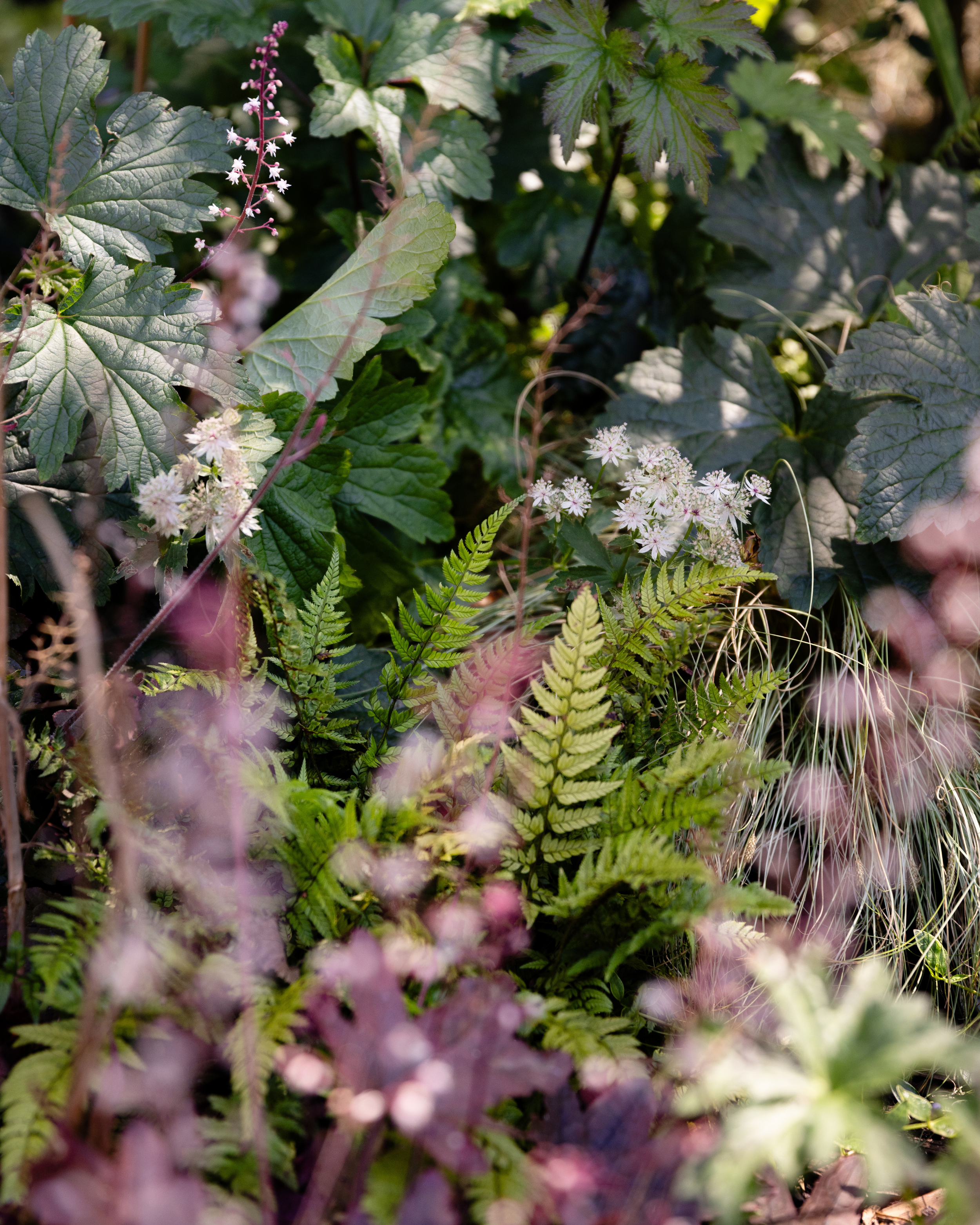 Nunhead Garden Design Flowers