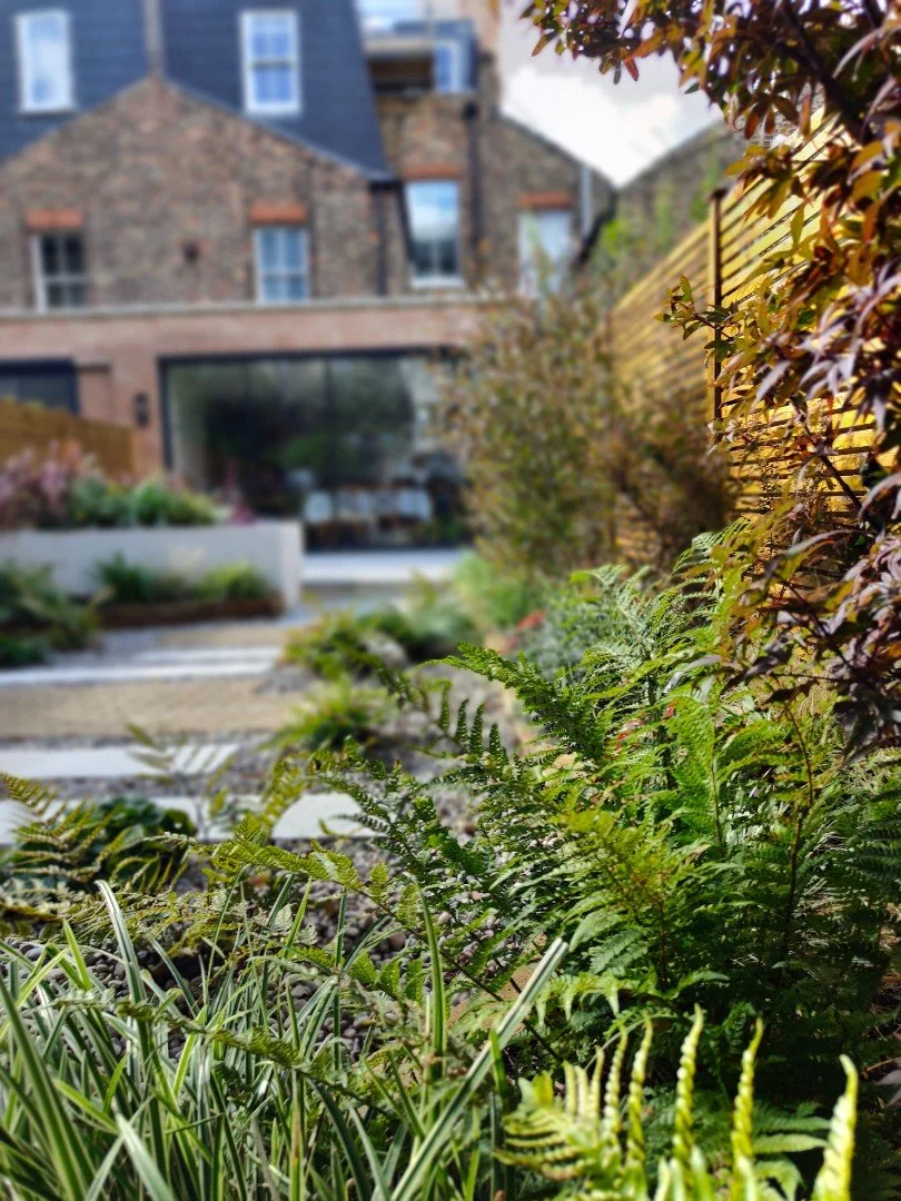 Crystal Palace Garden Design South London - Katerina Kantalis 33.jpg
