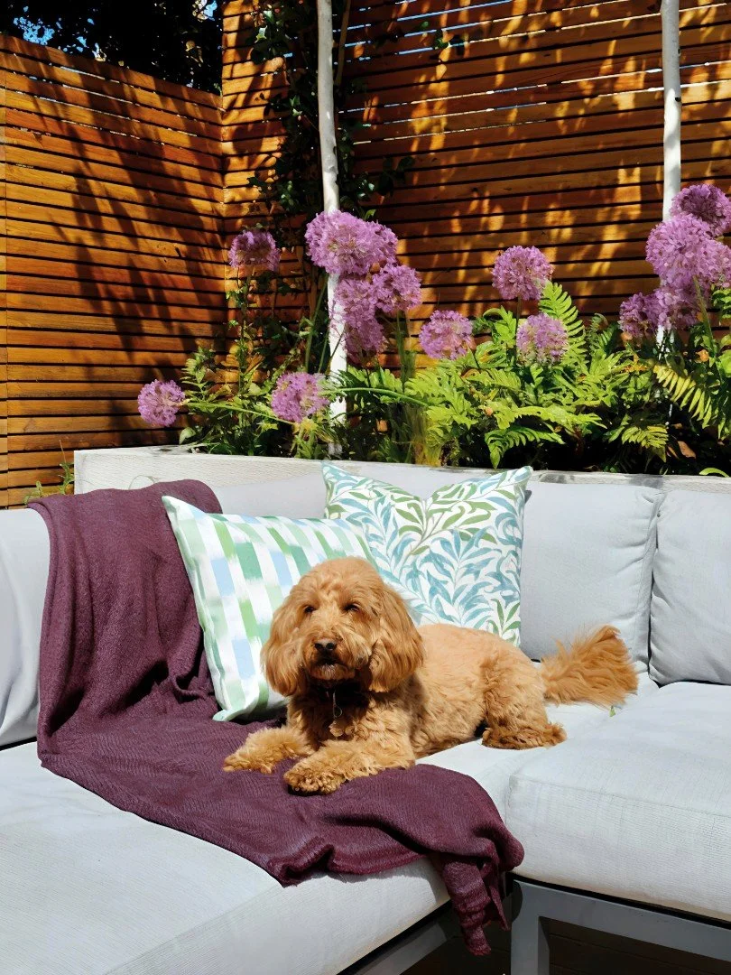 Clapham Garden Design London - Katerina Kantalis Design 32.jpg