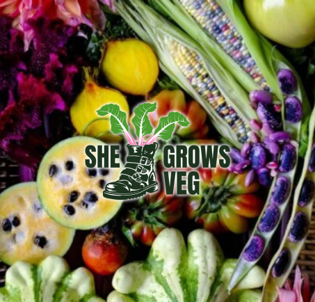 Veg Seed Supplier at Chelsea Flower Show 2026 -  Katerina Kantalis London Garden Designer