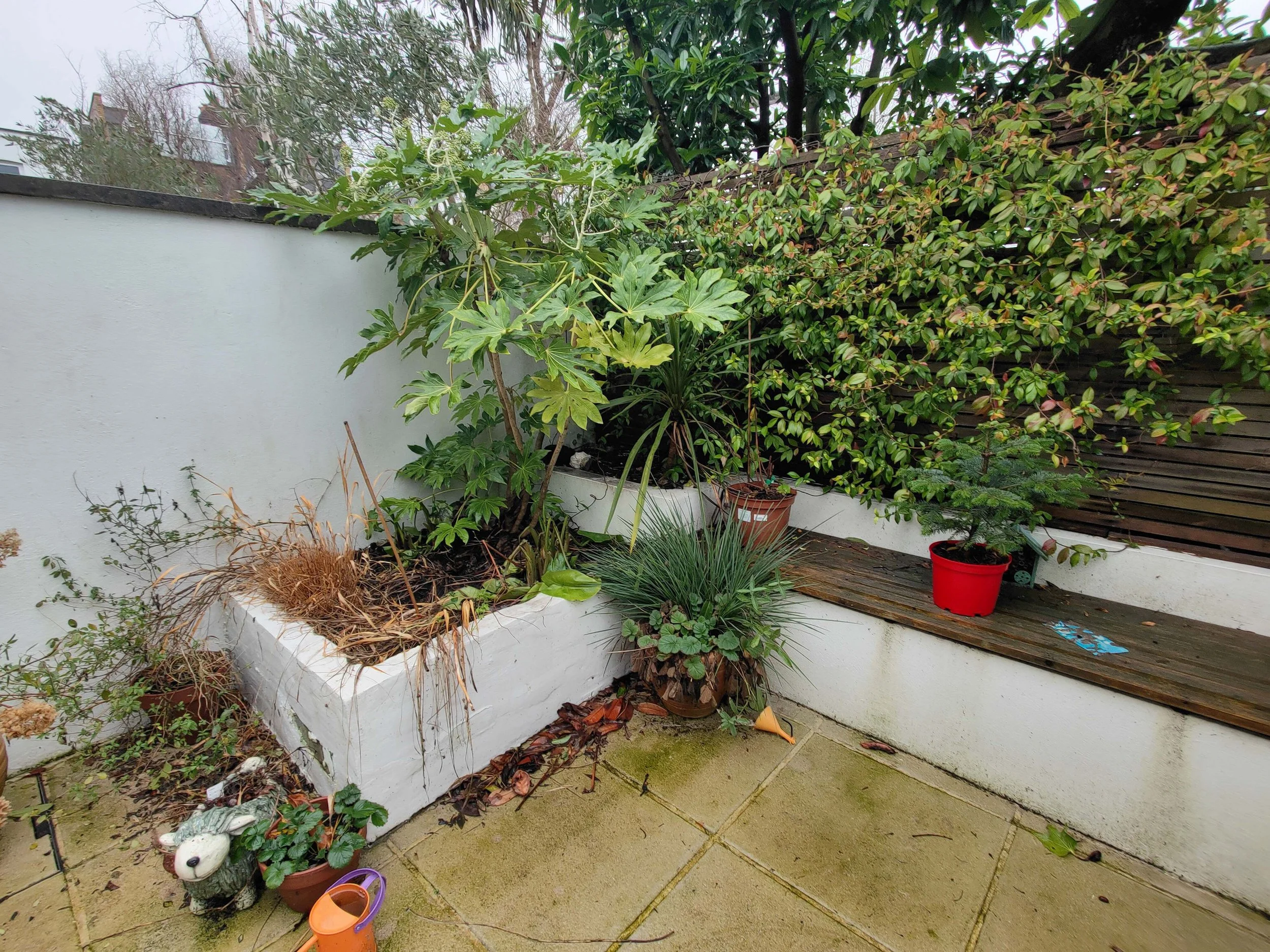 Old Balham Garden Design South London 2.jpg
