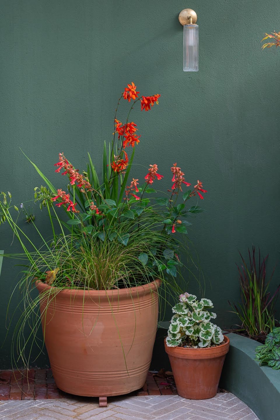 Balham Garden Design South London 15.jpg