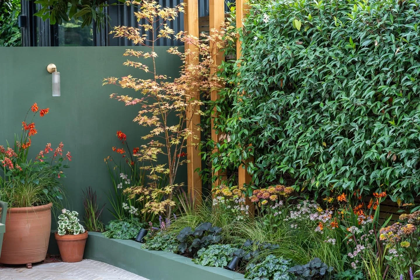 Balham Garden Design South London 8.jpg