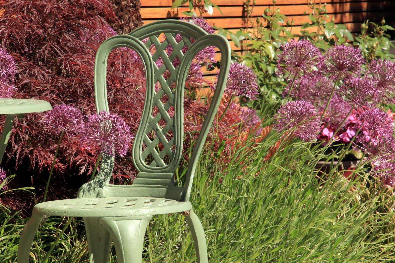 Clapham Garden Design London - Katerina Kantalis Design 31.jpg