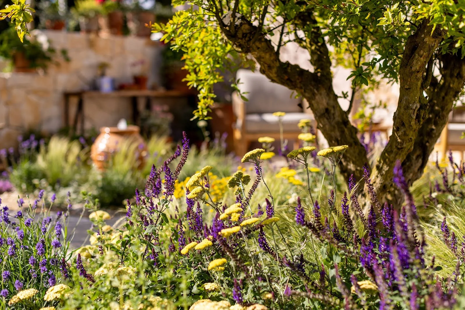 RHS Hampton Ct 2024 - Mediterranean - Show Garden Katerina Kantalis 17.jpg