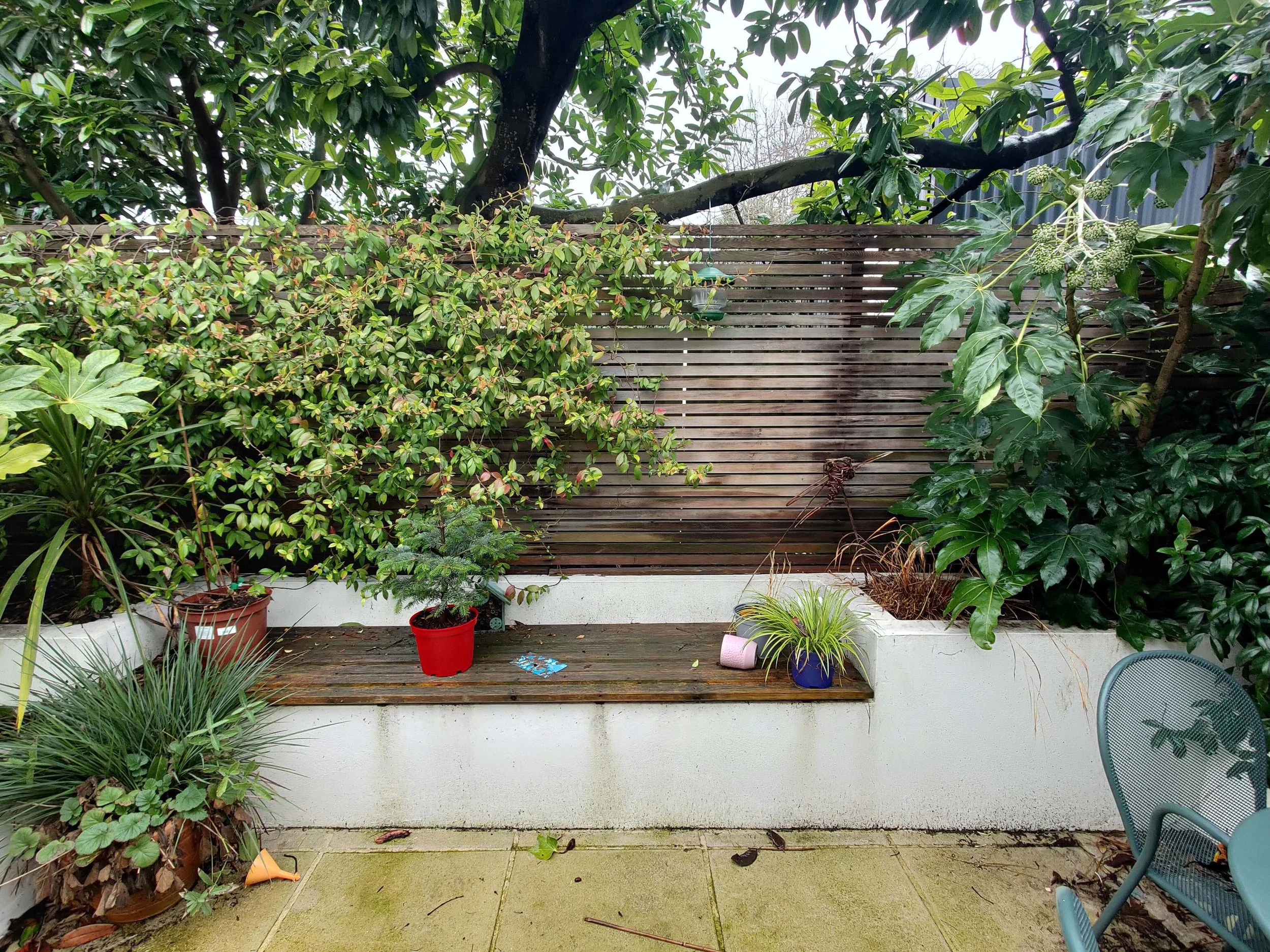 Old Balham Garden Design South London 1.jpg