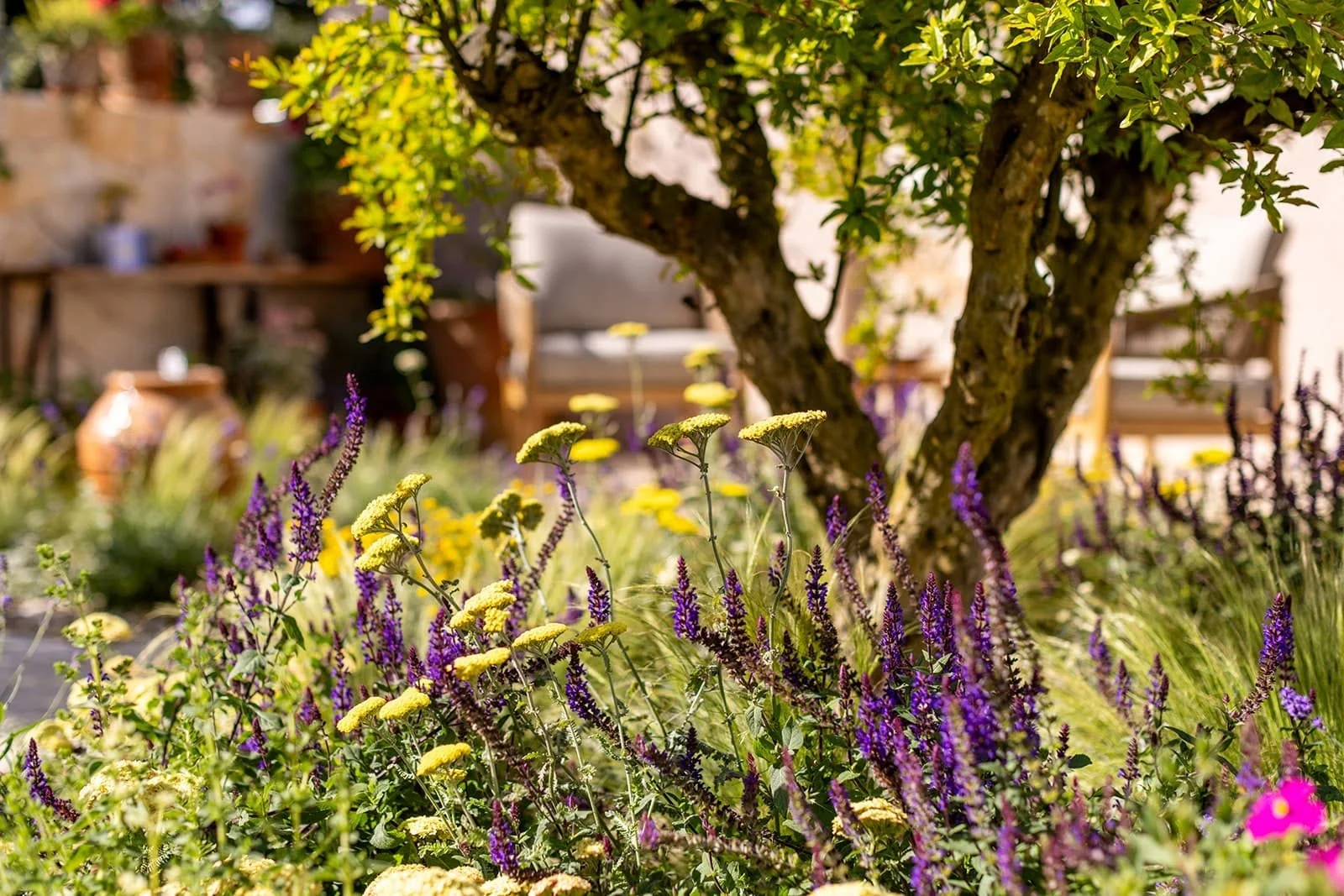 Garden Design & Build - Aftercare