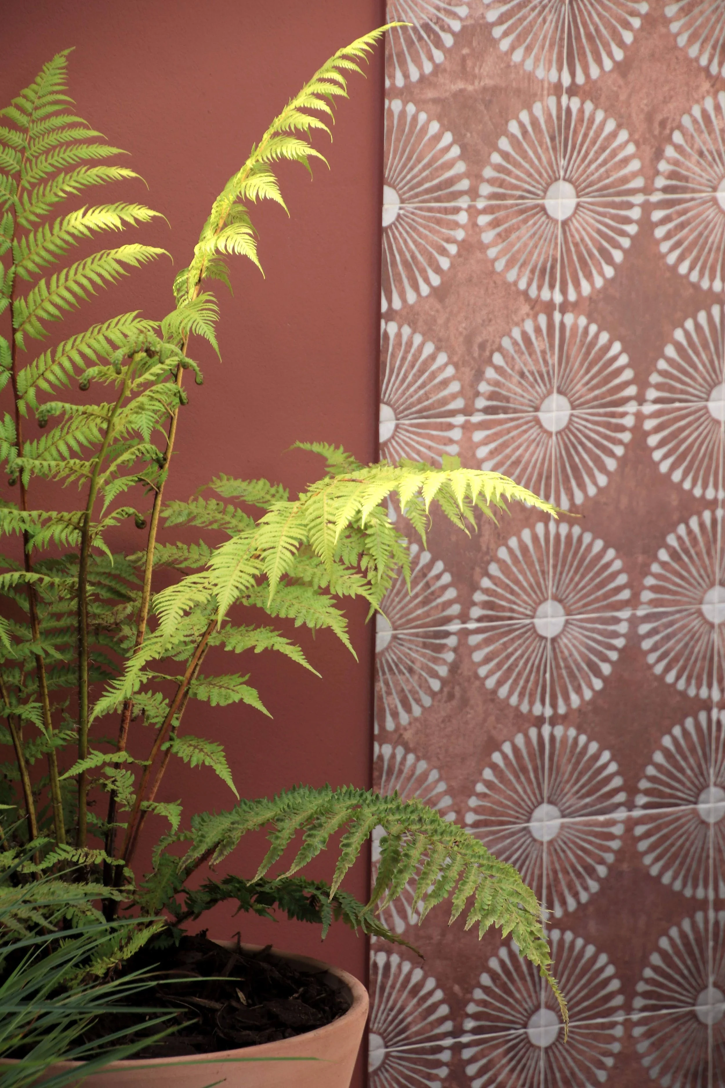 Balham Garden Design South London 21.JPG