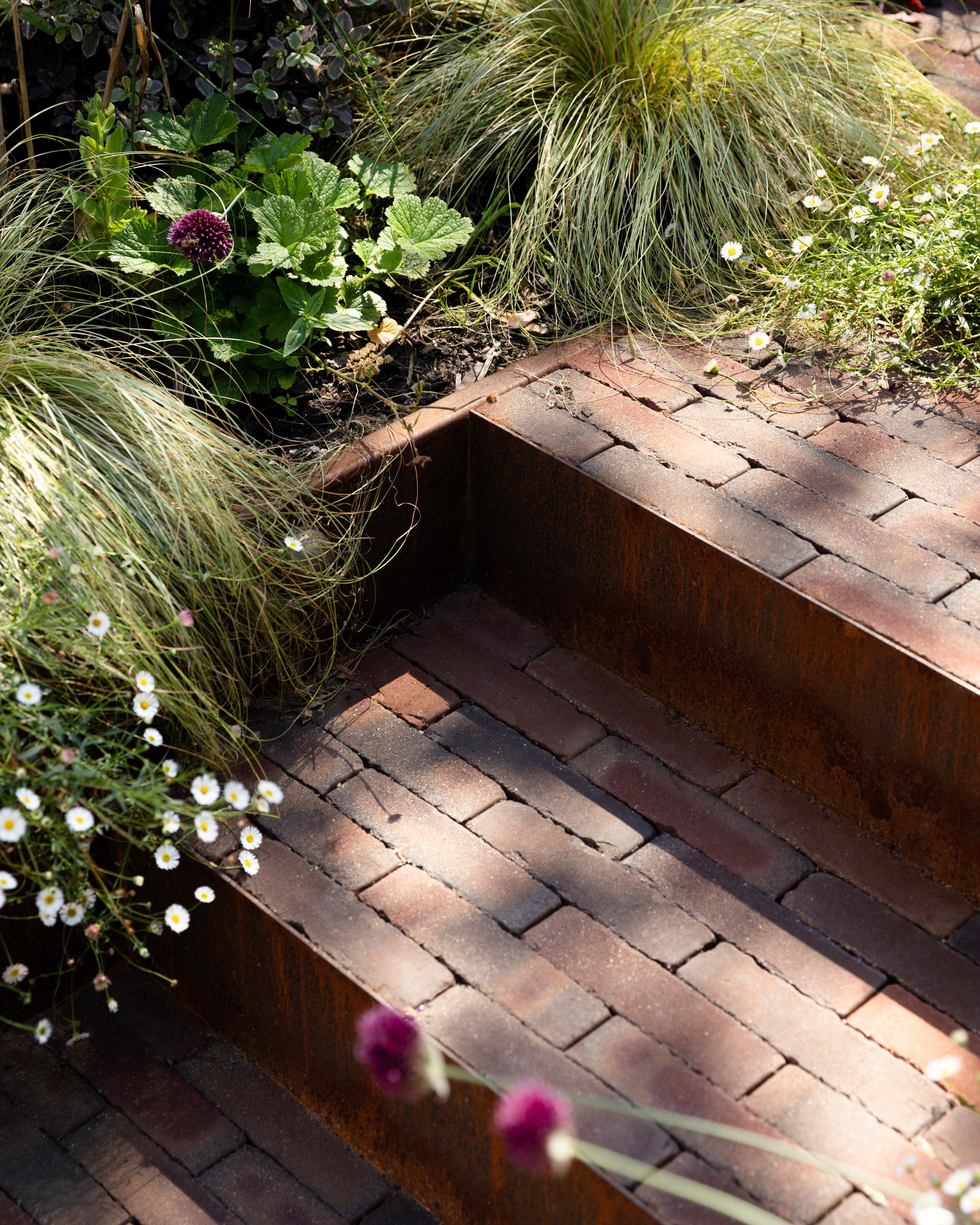 Nunhead Garden Design Steps