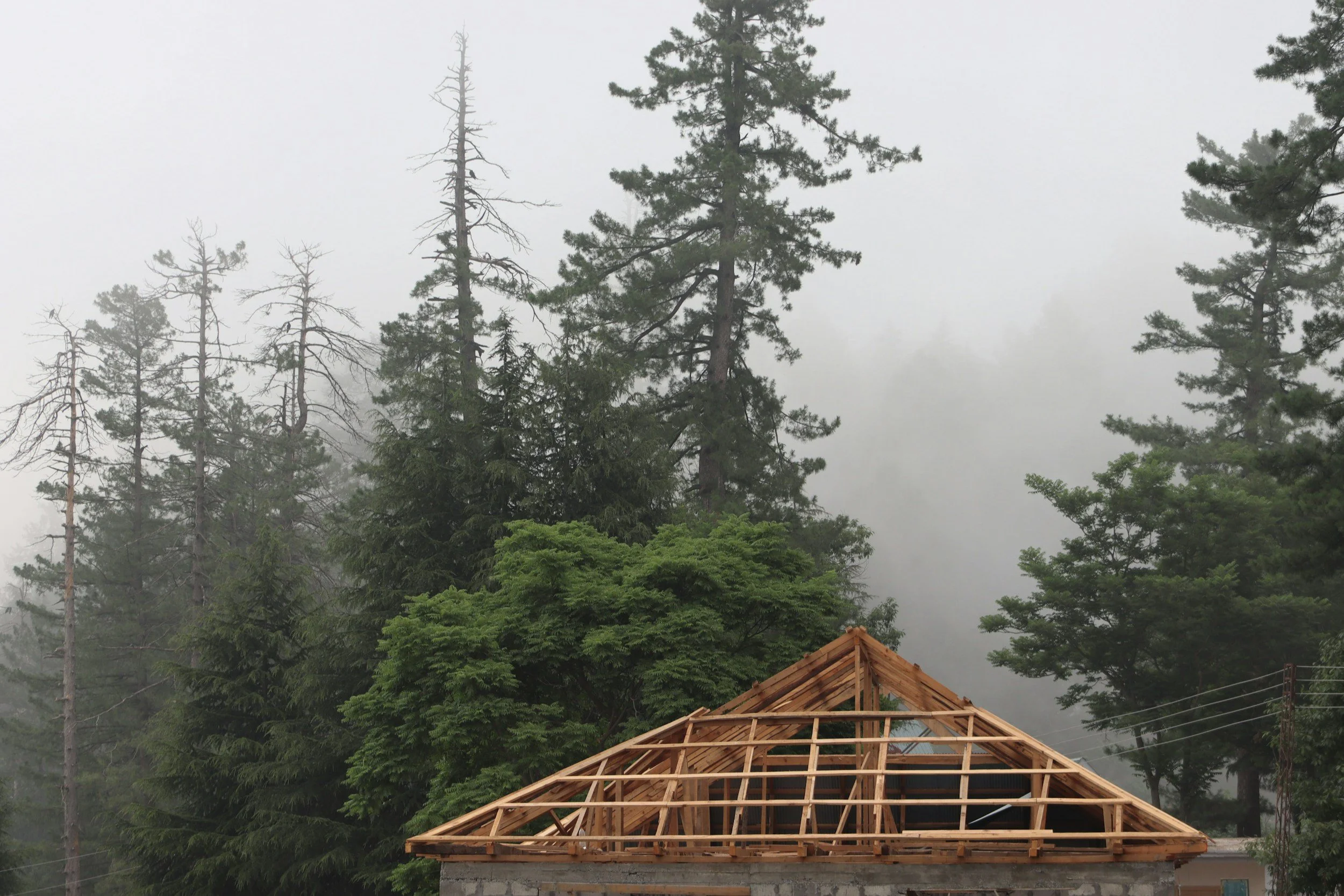 Moisture Management: Why It Matters in Any Home