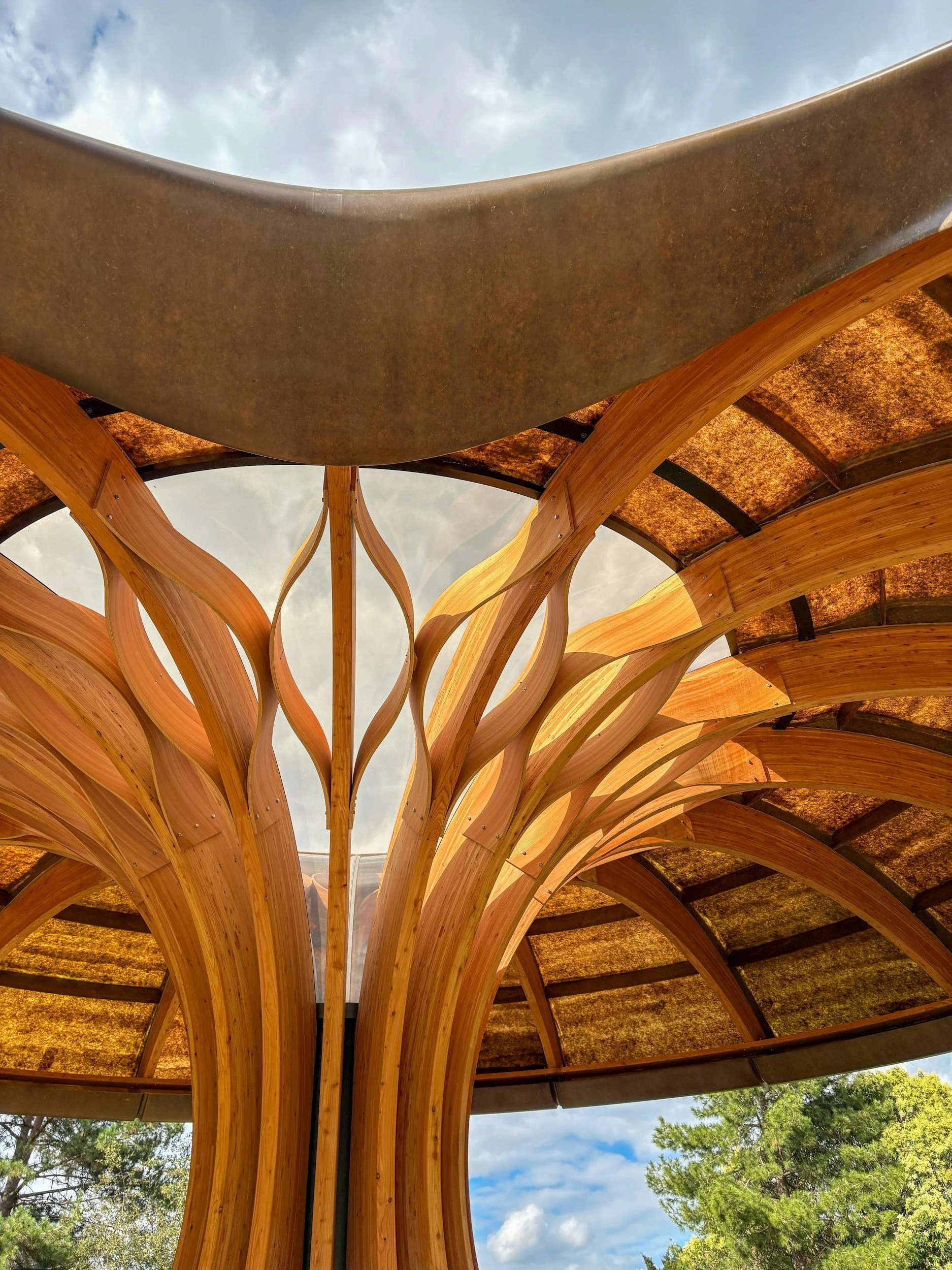 Biomimicry: When Nature Already Solved the Engineering Problem