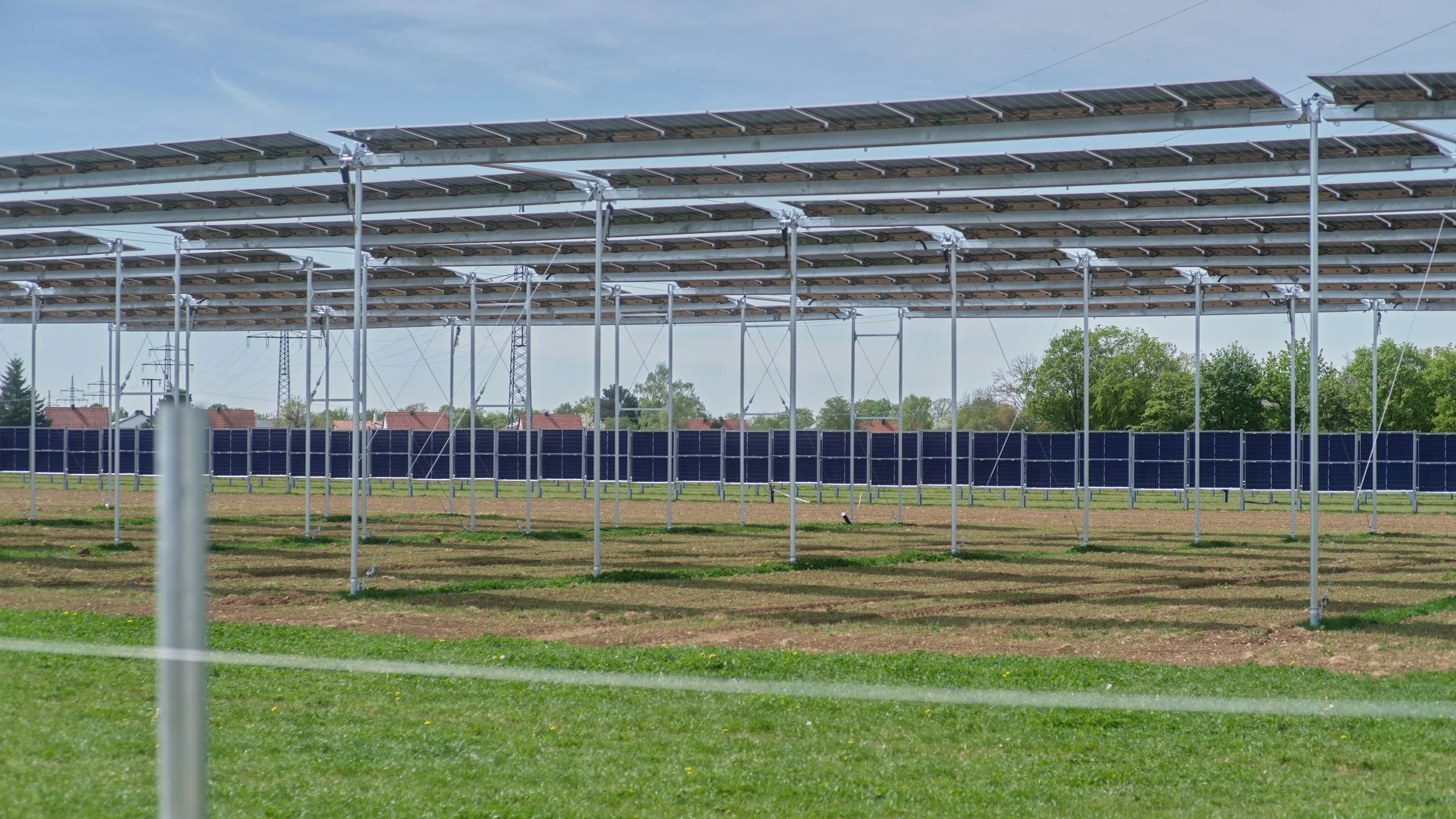 Agrovoltaics: When Solar Panels and Farming Share the Same Land