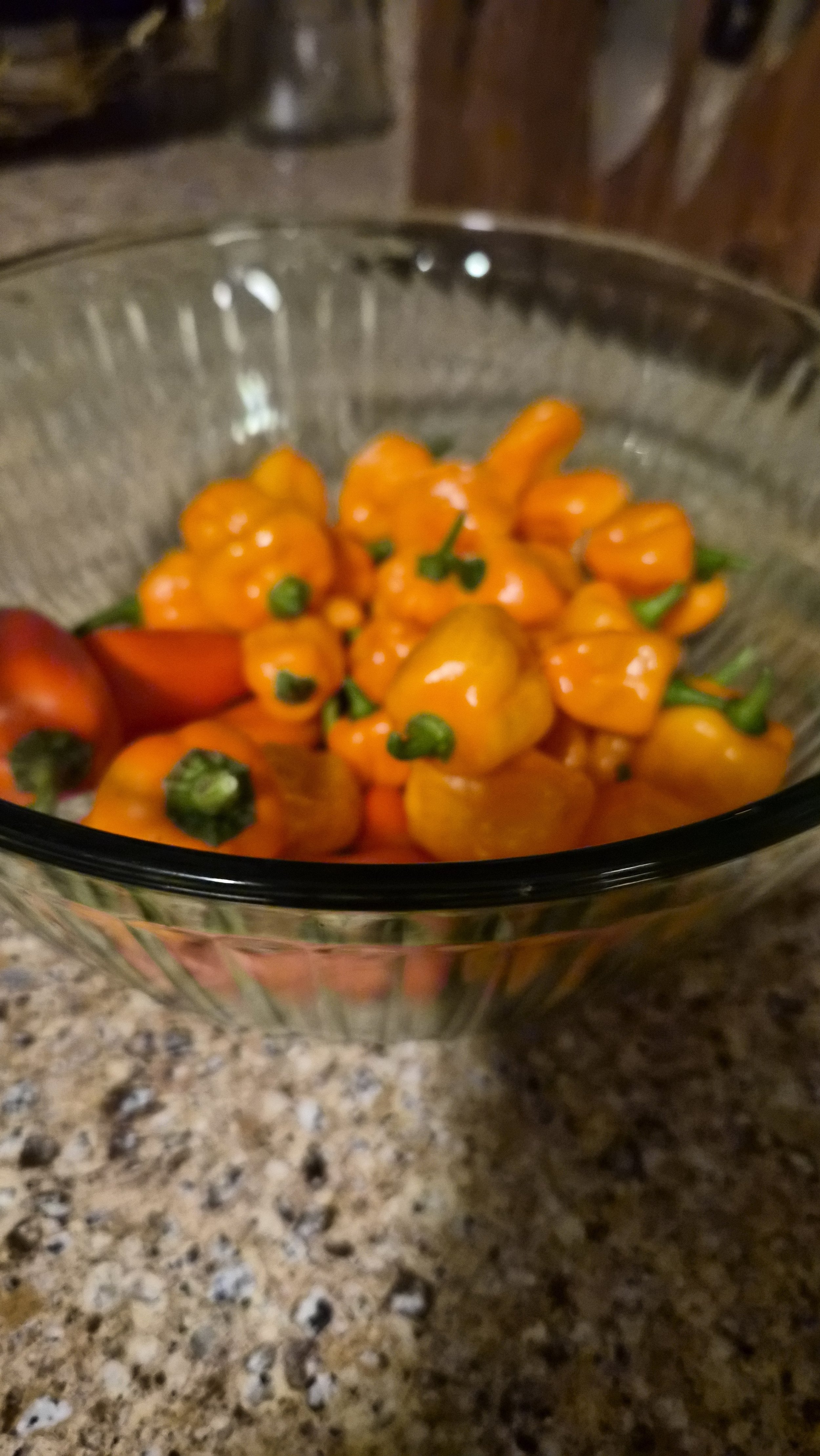 Planting Habaneros in Containers | Grow Fiery Peppers
