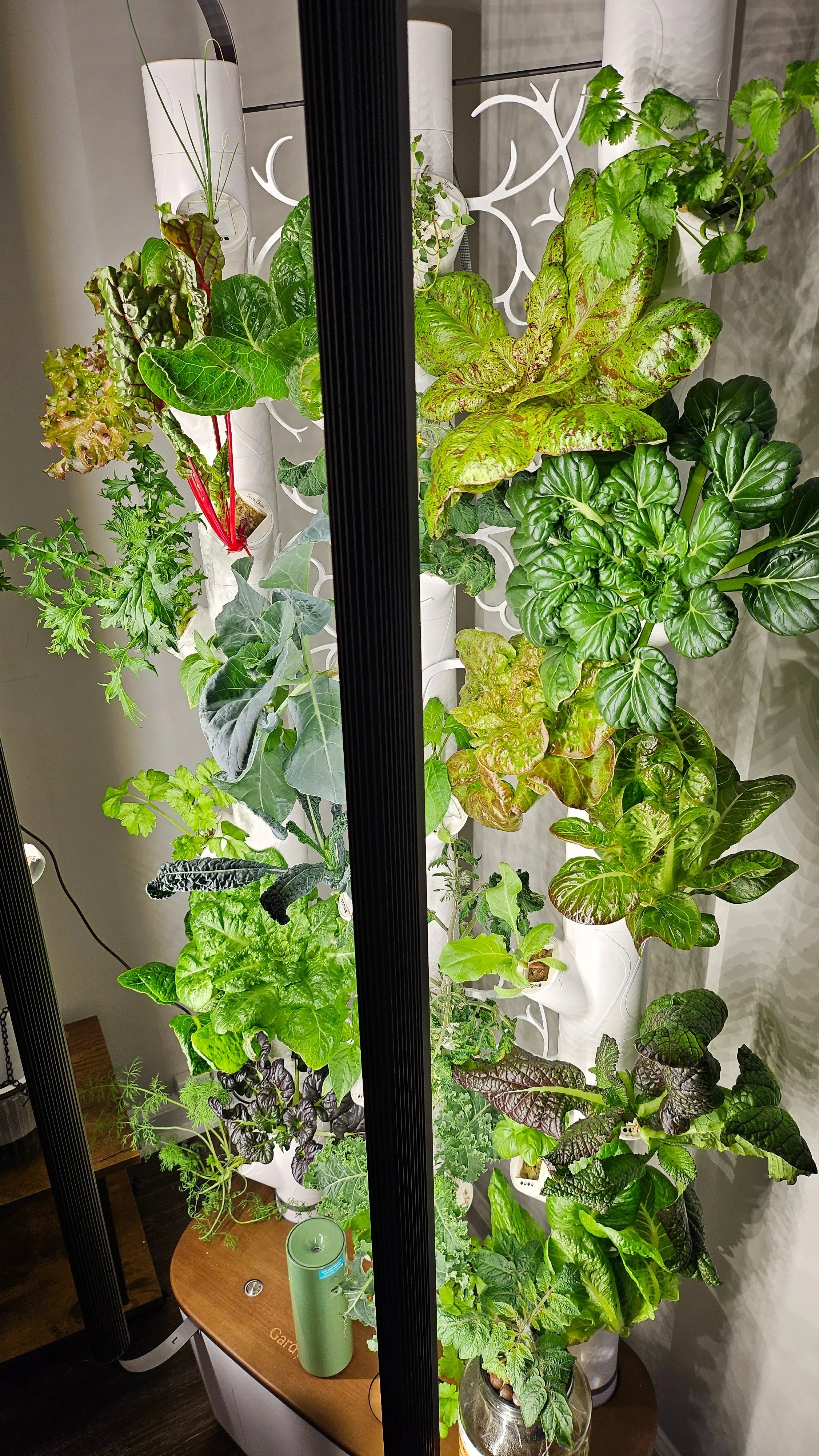 Gardyn 4.0 Reasons to Save  on Smart Indoor Gardening Hydroponic System