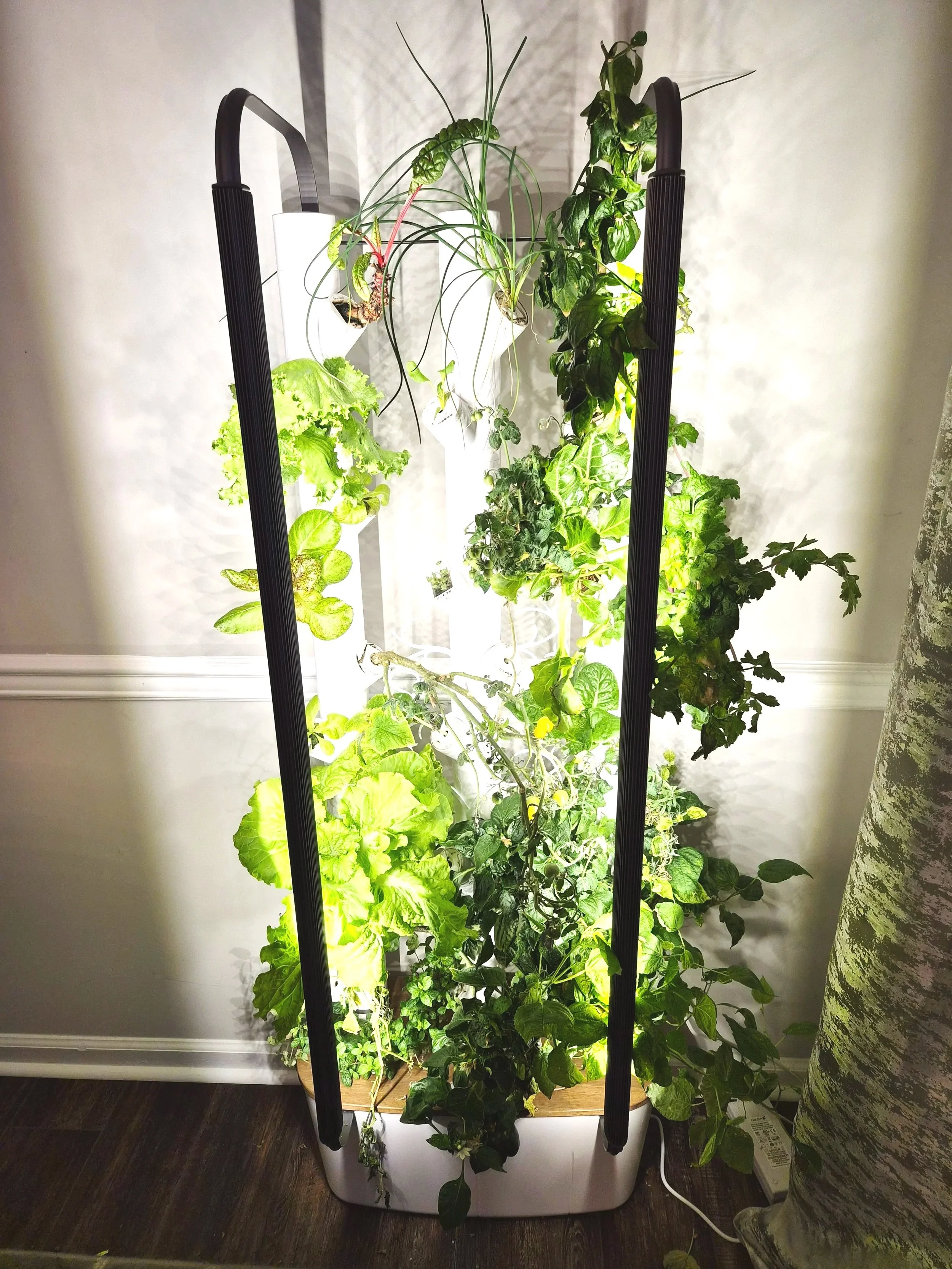 🌿 Gardyn | How I Grow Food Indoors Year Round