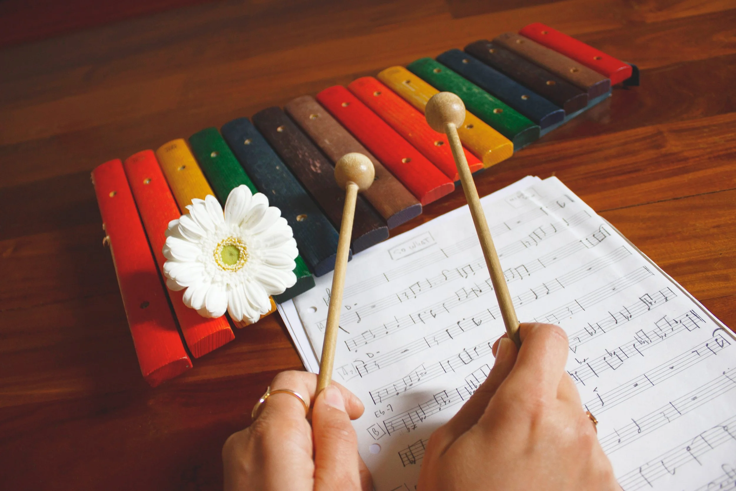 Una persona tiene due mani che tengono due bacchette di legno sopra un foglio di musica con note scritte. Davanti ci sono alcune note e simboli, e sul tavolo c'è anche un fiore bianco con centro verde e giallo, e un xilofono colorato con bastoncini di vari colori disposti in fila.