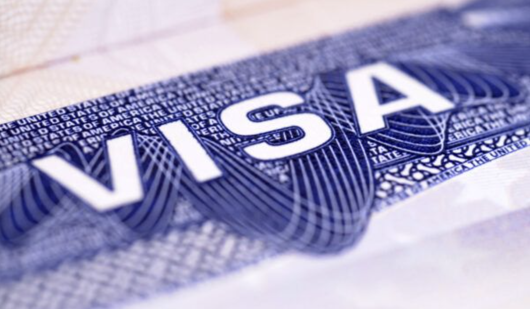 How does visa fraud affect my own application?