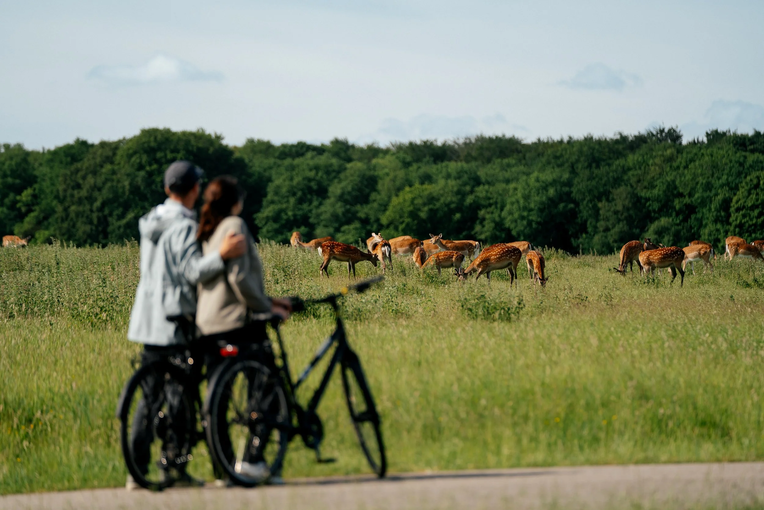31_WC0624_Lyngby-Taarbæk_Marvin Kuhr.jpg