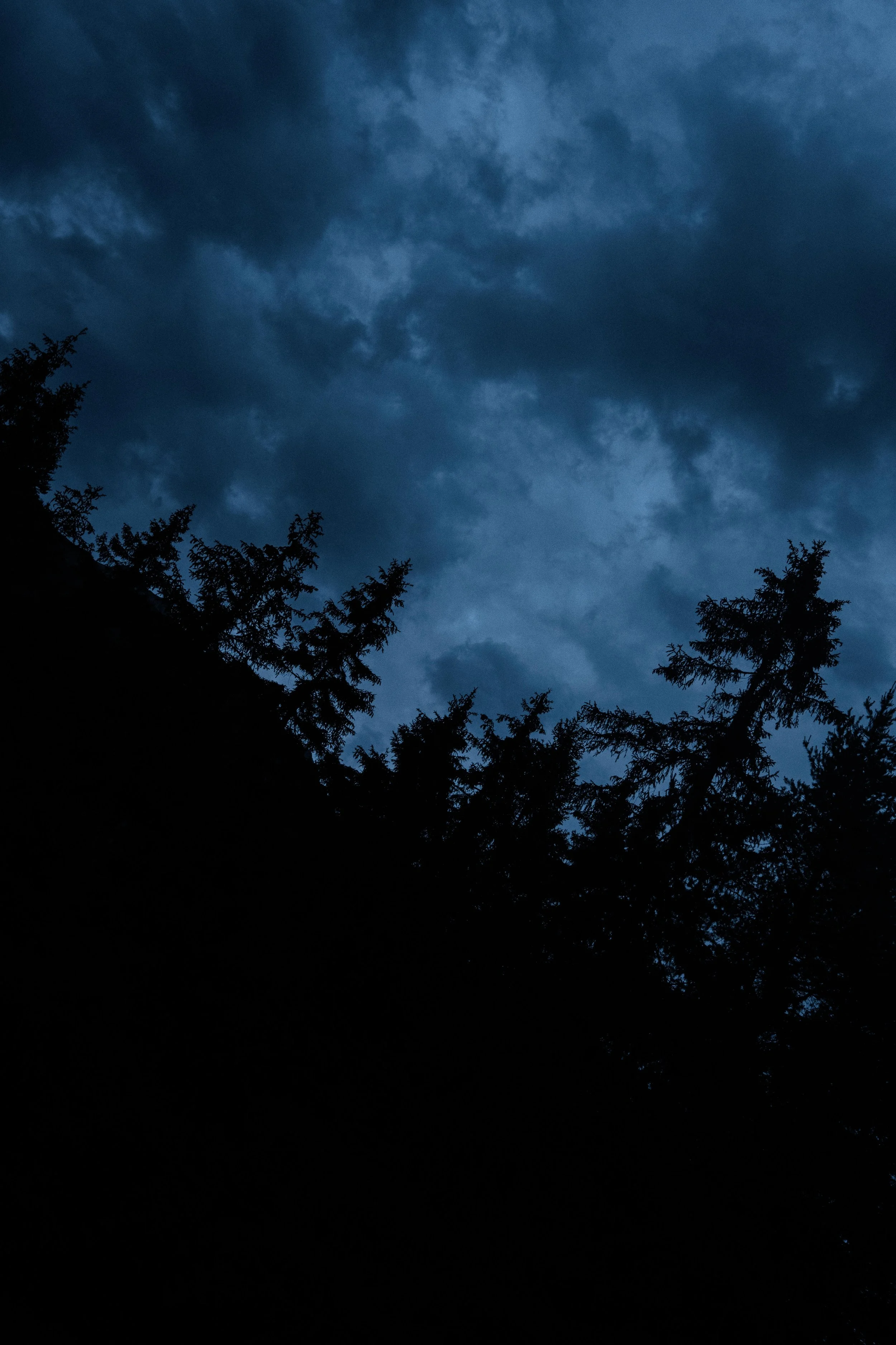 DSC07773.JPG