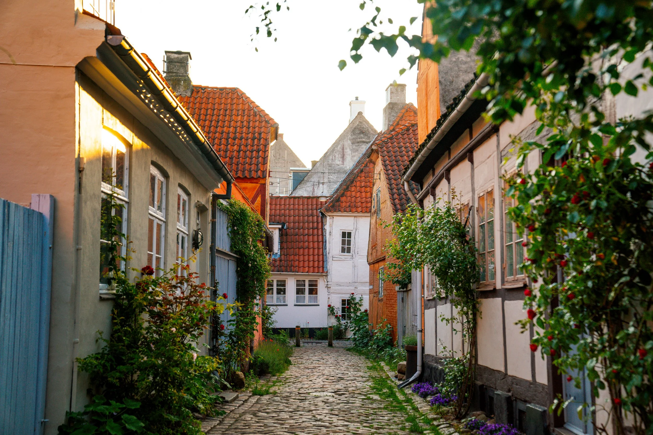 17_WC0624_Helsingør_Marvin Kuhr.jpg