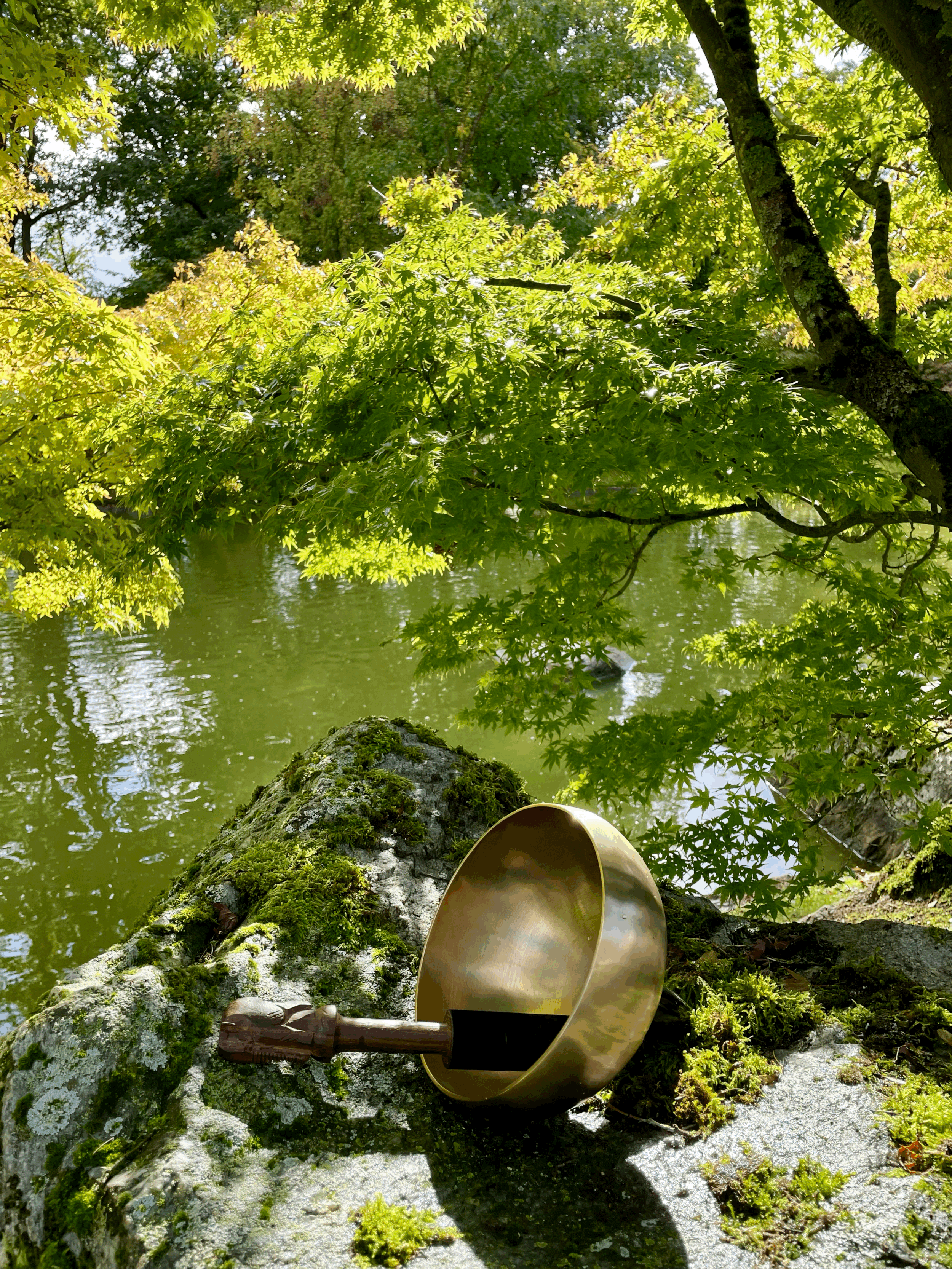 Soins Sonores (40min)