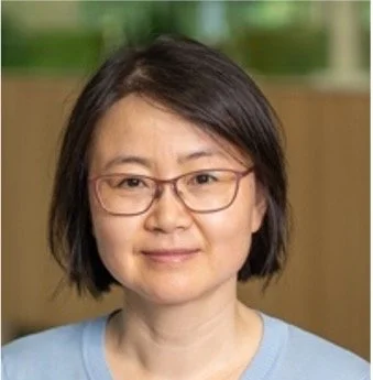 3D Structural Modelling for Enhanced Peptide–MHC and TCR Specificity Predictions&nbsp;