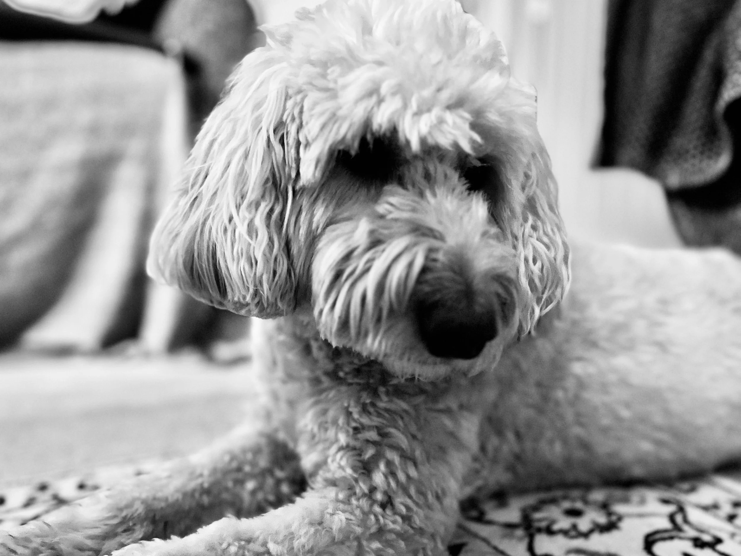 When Home Stops Feeling Safe