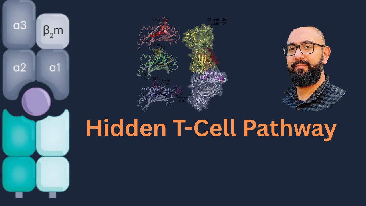 Unconventional lipid-antigen recognition by group 1 CD1-restricted T cells