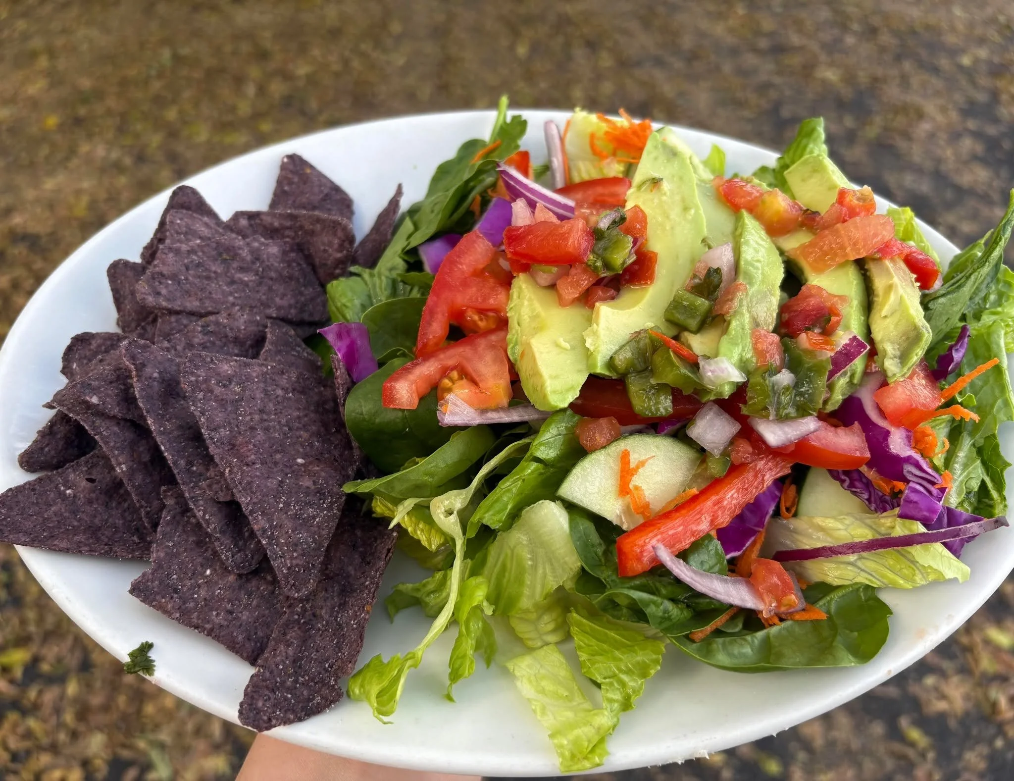 Manna&rsquo;s Lunch Specials for Thursday, February 5th!

Entrees
Cajun Shrimp Po&rsquo;Boy 12
Greek Chicken Bowl (GF) 12
(marinated chicken, quinoa, tomato-cucumber salad, hummus, feta &amp; tzatziki sauce)
Chili Lime Cauliflower Chickpea Wrap (V) 1